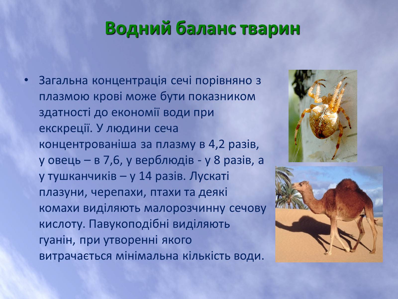 Презентація на тему «Наземно-повітряне середовище життя організмів» - Слайд #25 Презентація на тему «Наземно-повітряне середовище життя організмів» - Слайд #25