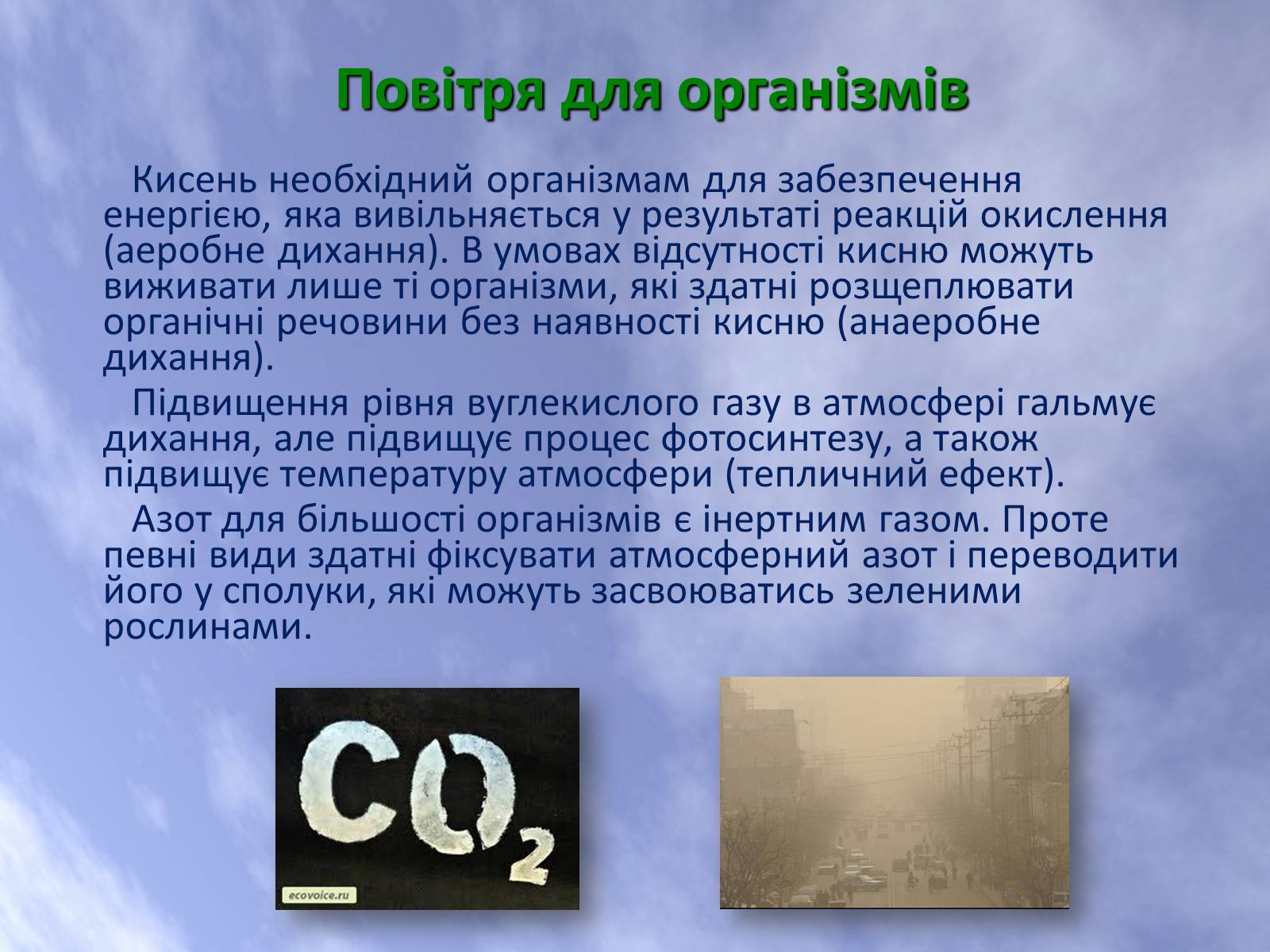 Презентація на тему «Наземно-повітряне середовище життя організмів» - Слайд #26 Презентація на тему «Наземно-повітряне середовище життя організмів» - Слайд #26