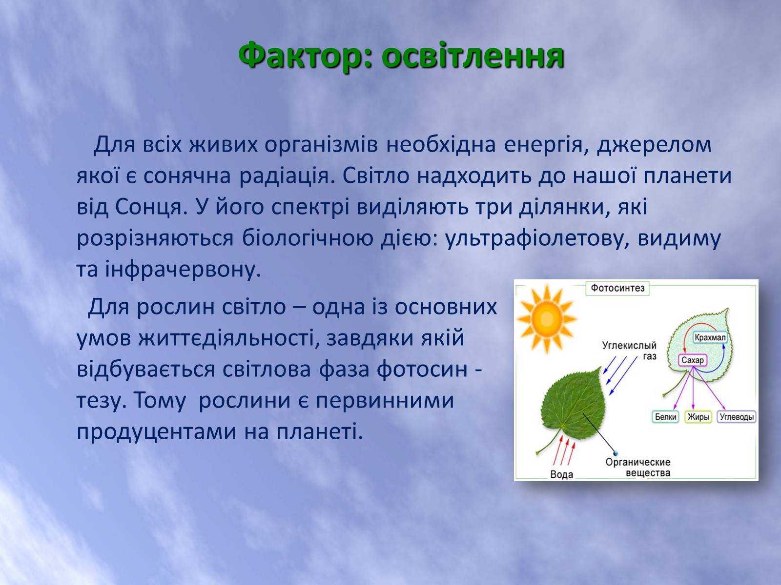 Презентація на тему «Наземно-повітряне середовище життя організмів» - Слайд #9 Презентація на тему «Наземно-повітряне середовище життя організмів» - Слайд #9