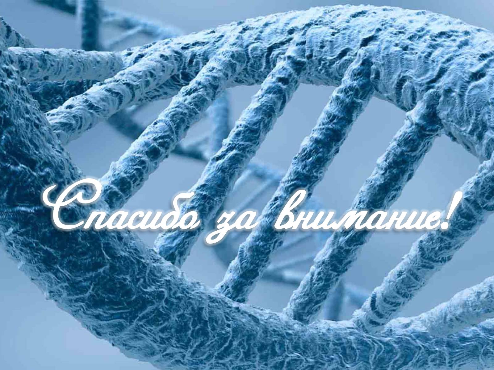 Презентація на тему «Гемофилия» - Слайд #14 Презентація на тему «Гемофилия» - Слайд #14