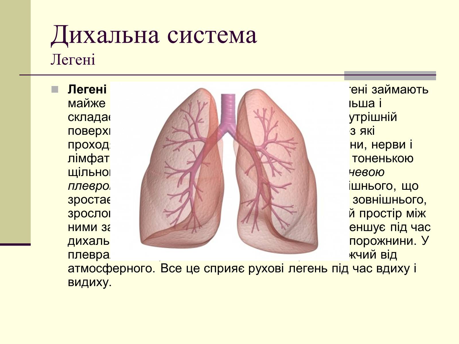 Презентація на тему «Критичні системи організму людини. Дихальна система» - Слайд #10 Презентація на тему «Критичні системи організму людини. Дихальна система» - Слайд #10