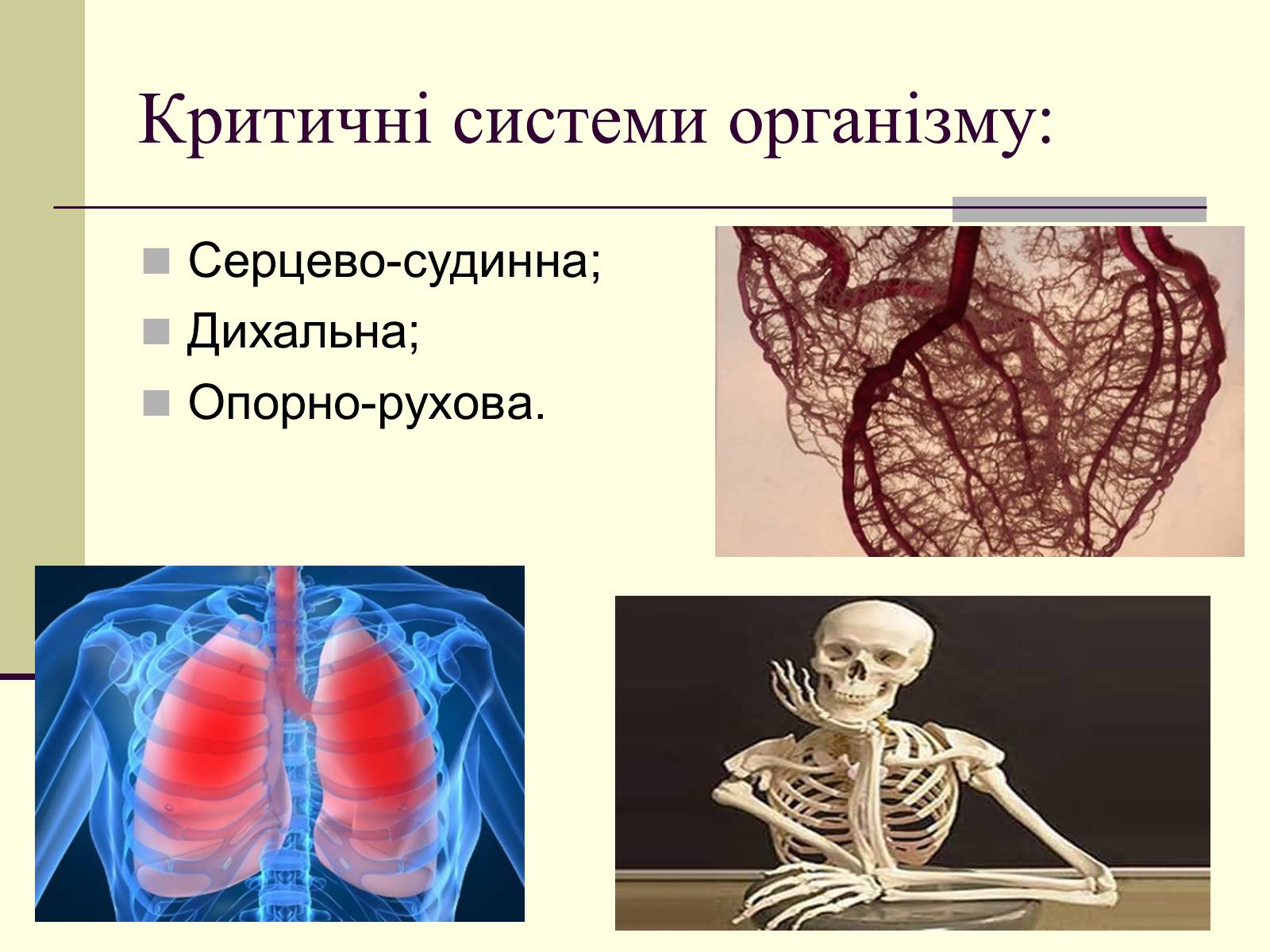 Презентація на тему «Критичні системи організму людини. Дихальна система» - Слайд #3 Презентація на тему «Критичні системи організму людини. Дихальна система» - Слайд #3