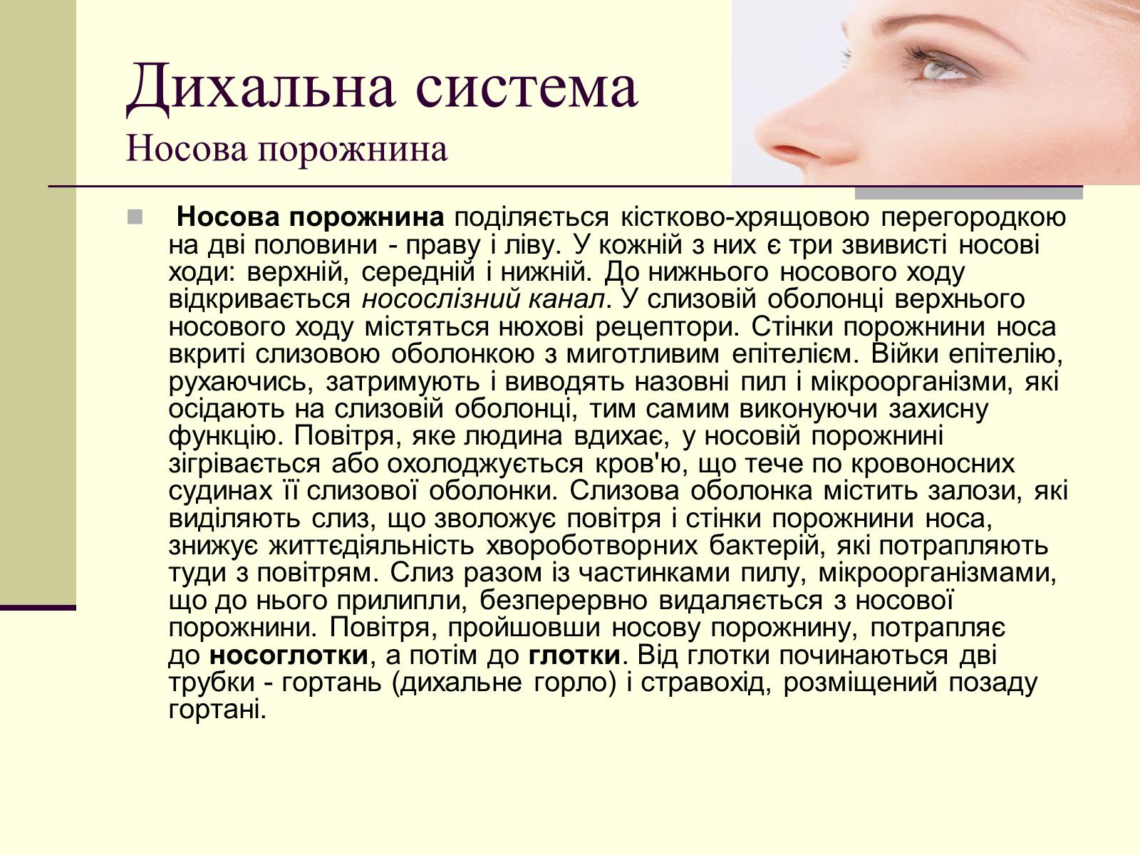 Презентація на тему «Критичні системи організму людини. Дихальна система» - Слайд #6 Презентація на тему «Критичні системи організму людини. Дихальна система» - Слайд #6