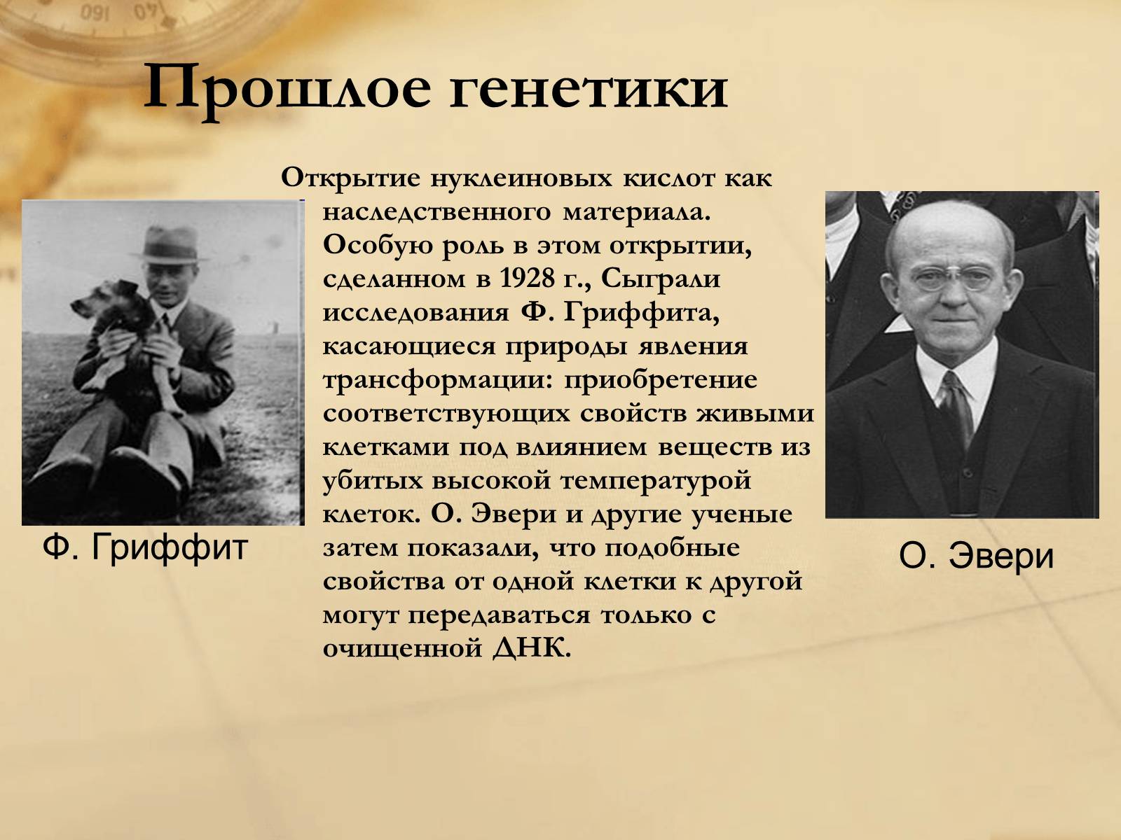 Презентація на тему «Генетика» (варіант 4) - Слайд #4 Презентація на тему «Генетика» (варіант 4) - Слайд #4