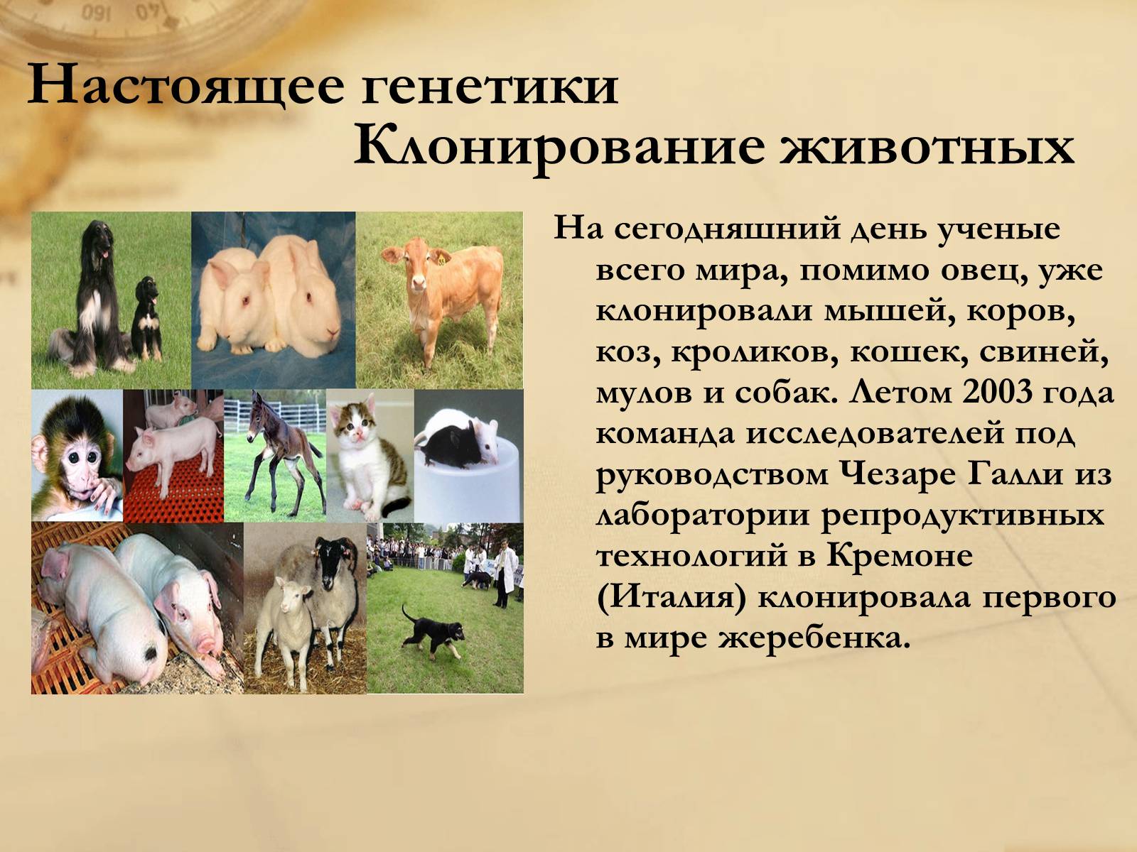 Презентація на тему «Генетика» (варіант 4) - Слайд #8 Презентація на тему «Генетика» (варіант 4) - Слайд #8