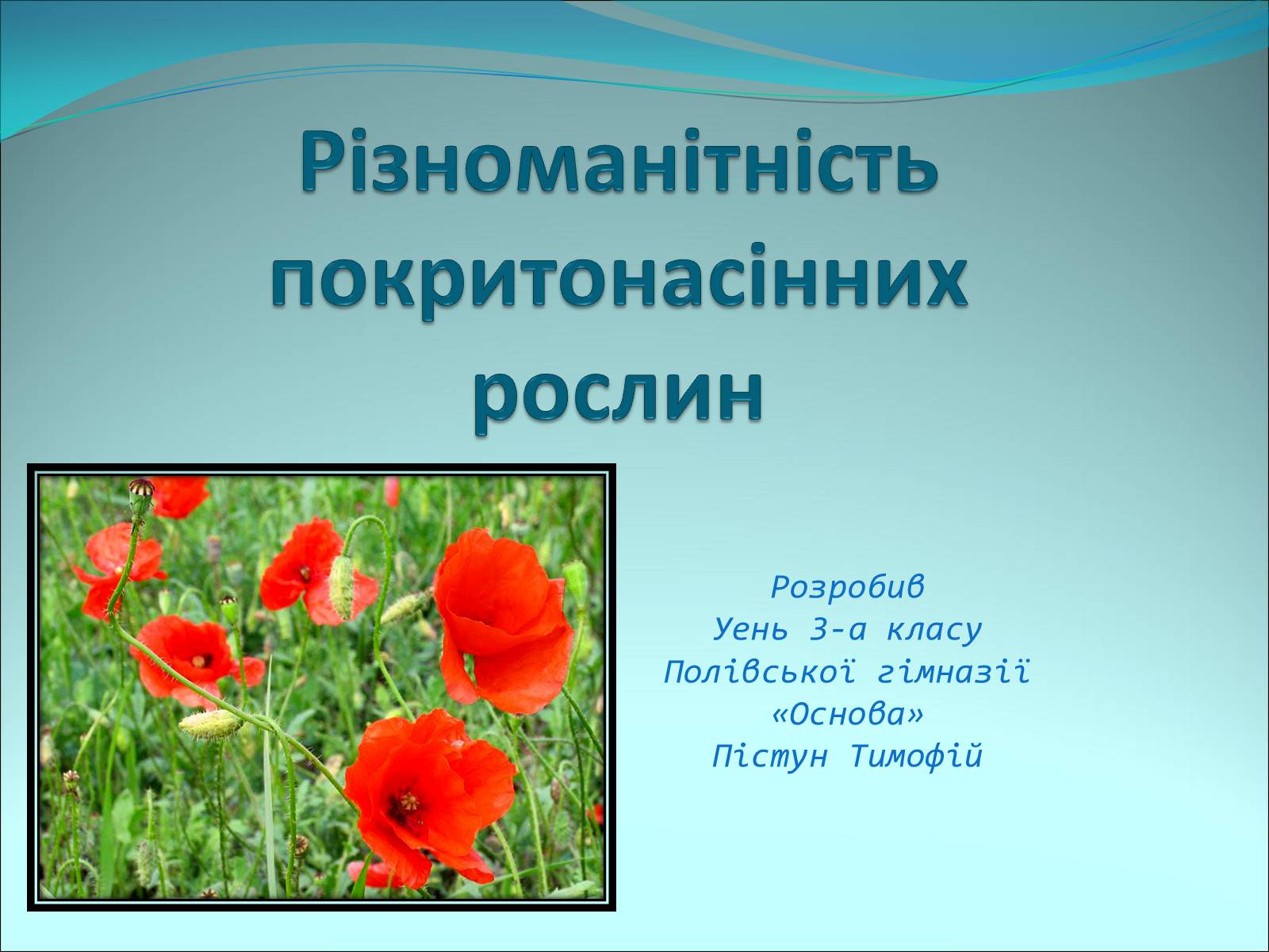 Презентація на тему «Різноманітність покритонасінних рослин» - Слайд #1 Презентація на тему «Різноманітність покритонасінних рослин» - Слайд #1