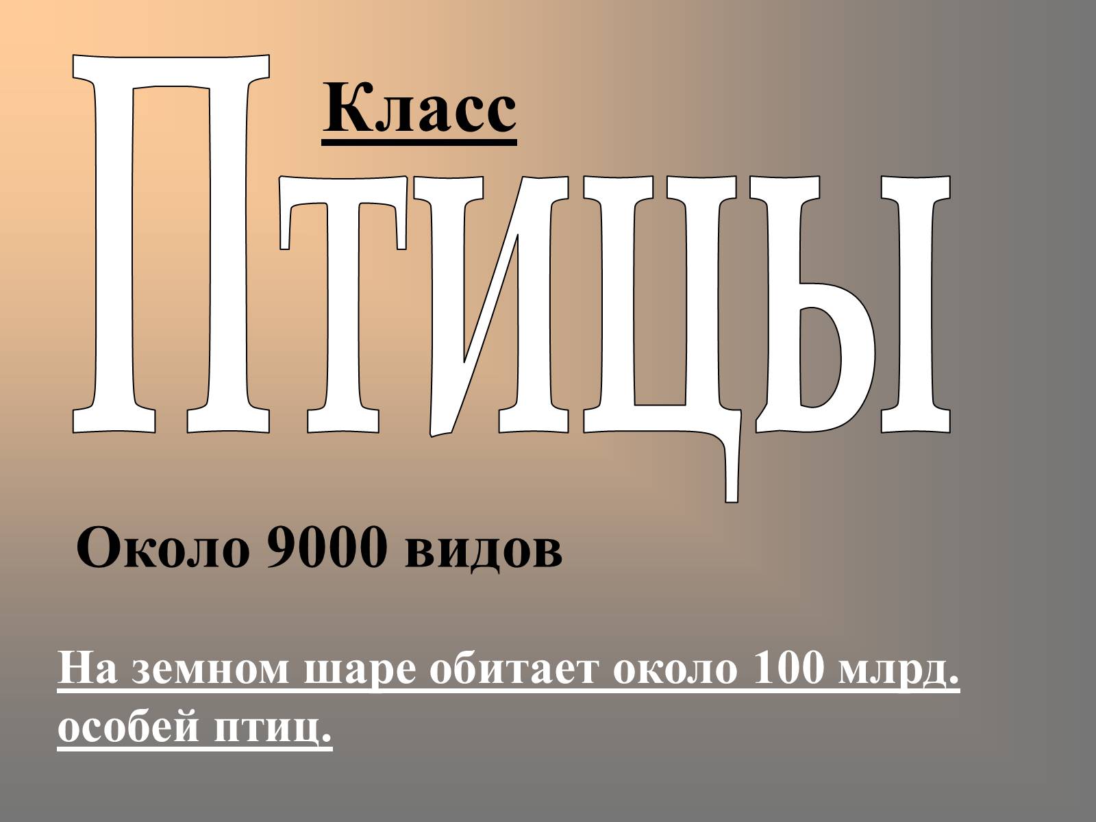 Презентація на тему «Птицы» (варіант 2) - Слайд #1 Презентація на тему «Птицы» (варіант 2) - Слайд #1