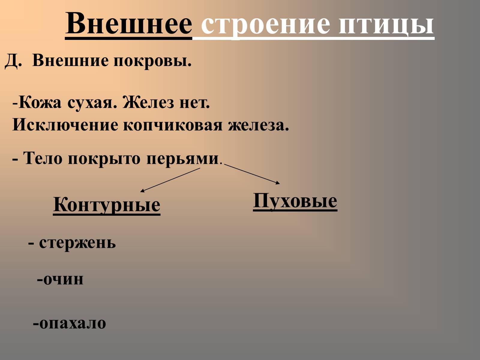 Презентація на тему «Птицы» (варіант 2) - Слайд #22 Презентація на тему «Птицы» (варіант 2) - Слайд #22