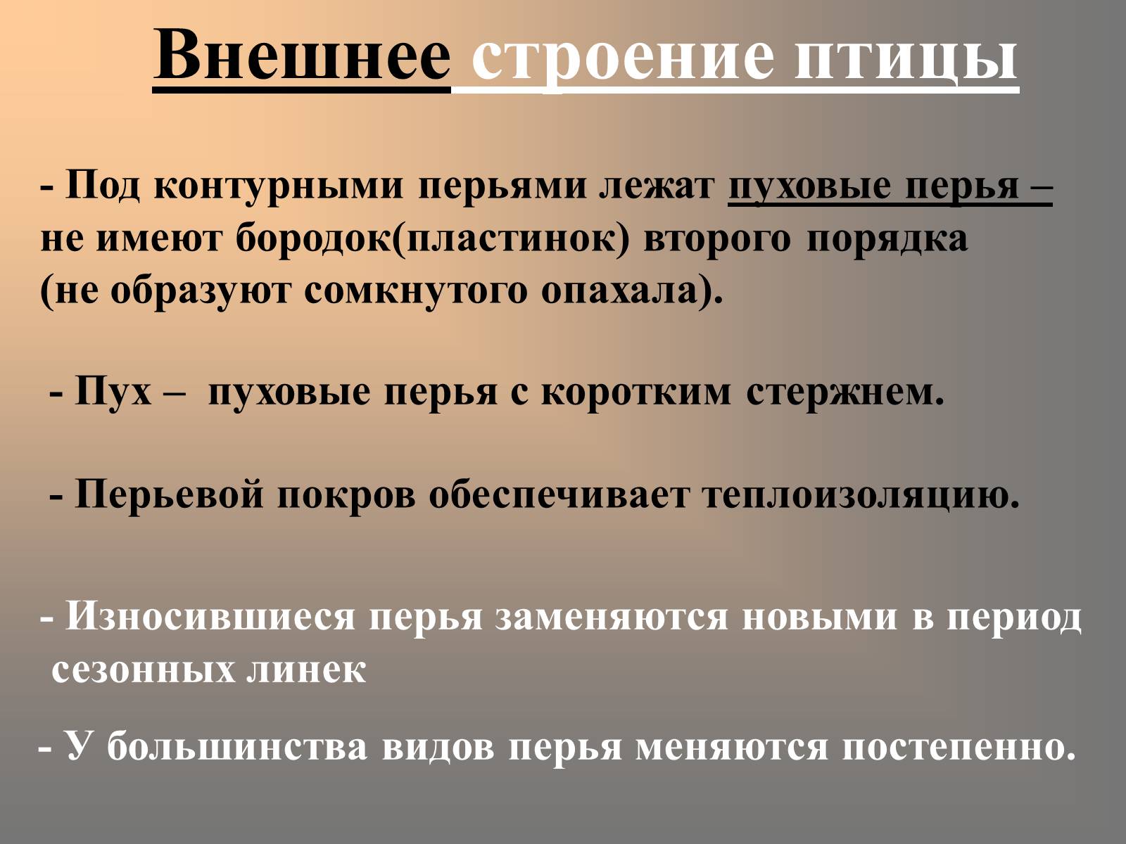 Презентація на тему «Птицы» (варіант 2) - Слайд #32 Презентація на тему «Птицы» (варіант 2) - Слайд #32