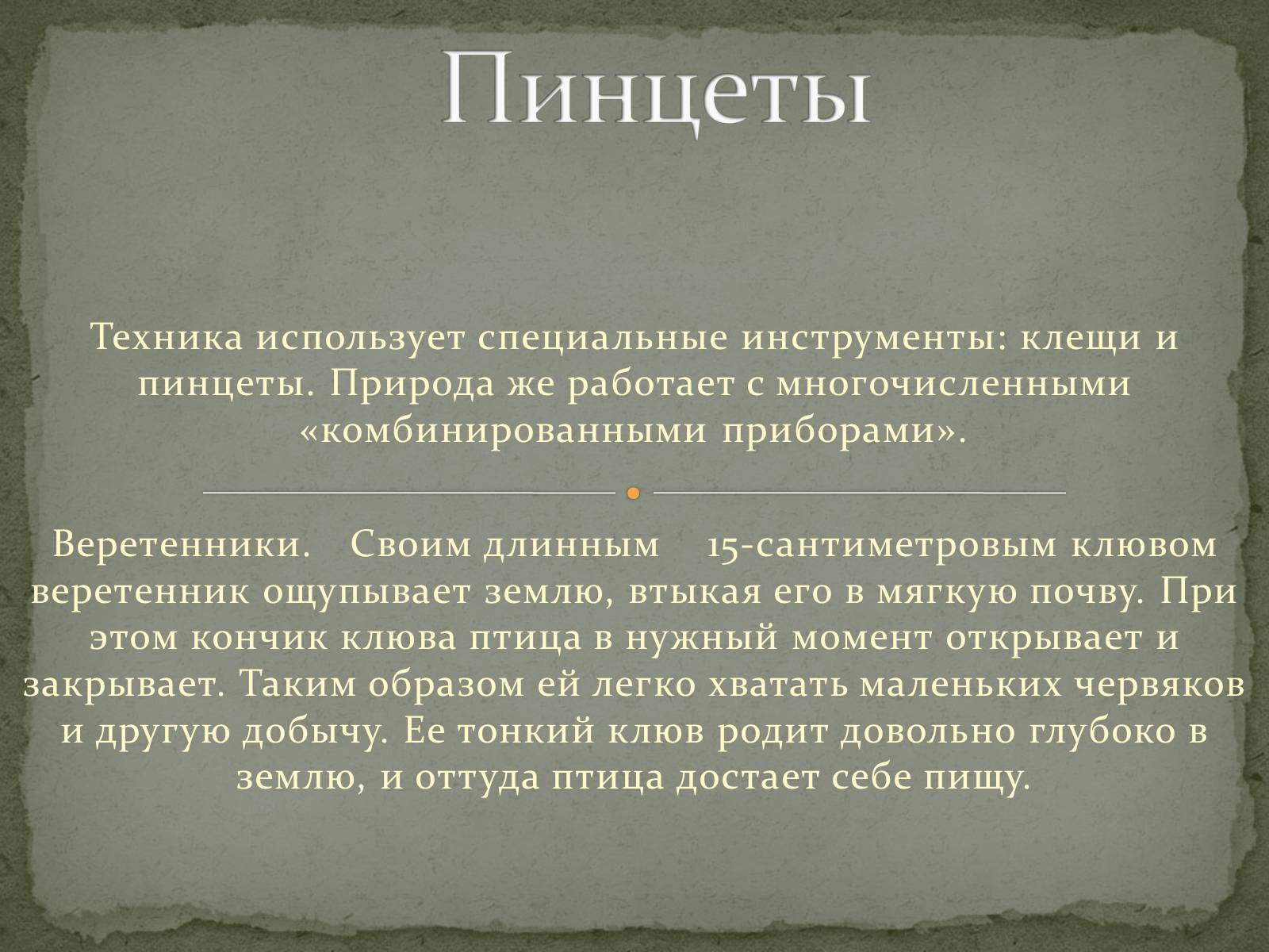 Презентація на тему «Бионика» (варіант 1) - Слайд #13 Презентація на тему «Бионика» (варіант 1) - Слайд #13