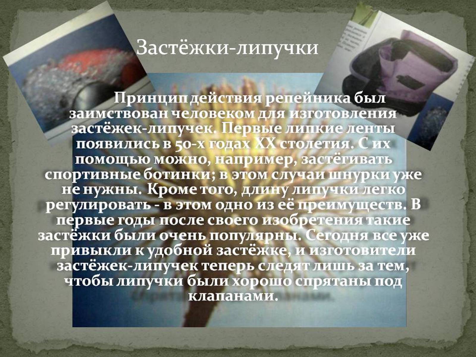 Презентація на тему «Бионика» (варіант 1) - Слайд #20 Презентація на тему «Бионика» (варіант 1) - Слайд #20