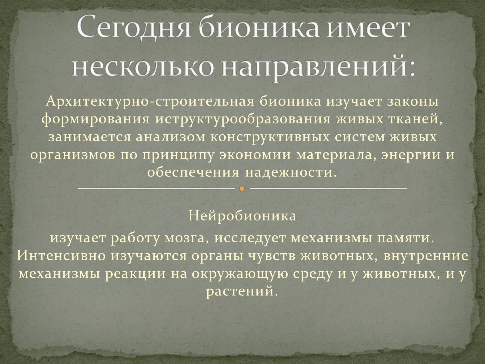 Презентація на тему «Бионика» (варіант 1) - Слайд #6 Презентація на тему «Бионика» (варіант 1) - Слайд #6