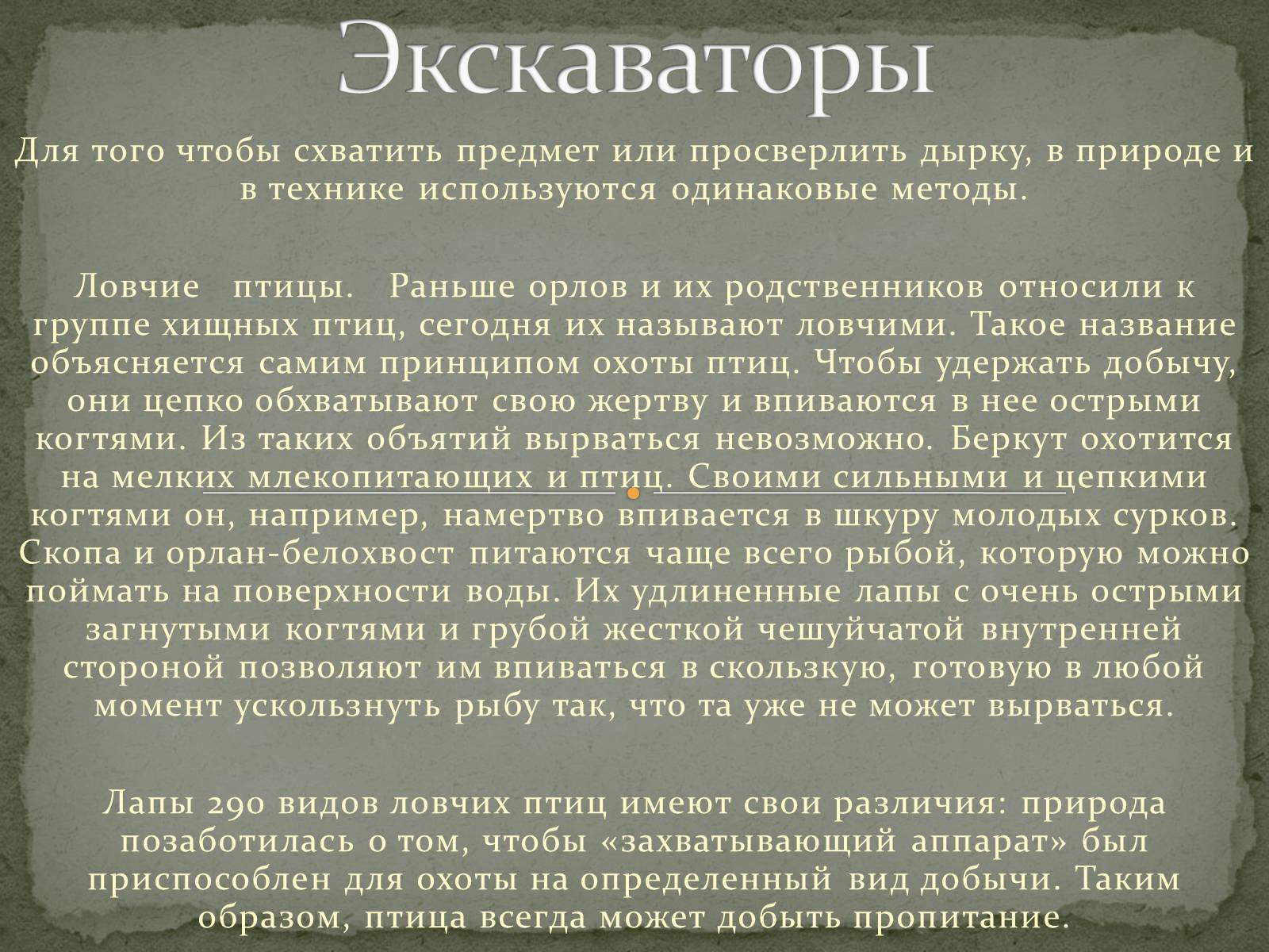 Презентація на тему «Бионика» (варіант 1) - Слайд #7 Презентація на тему «Бионика» (варіант 1) - Слайд #7