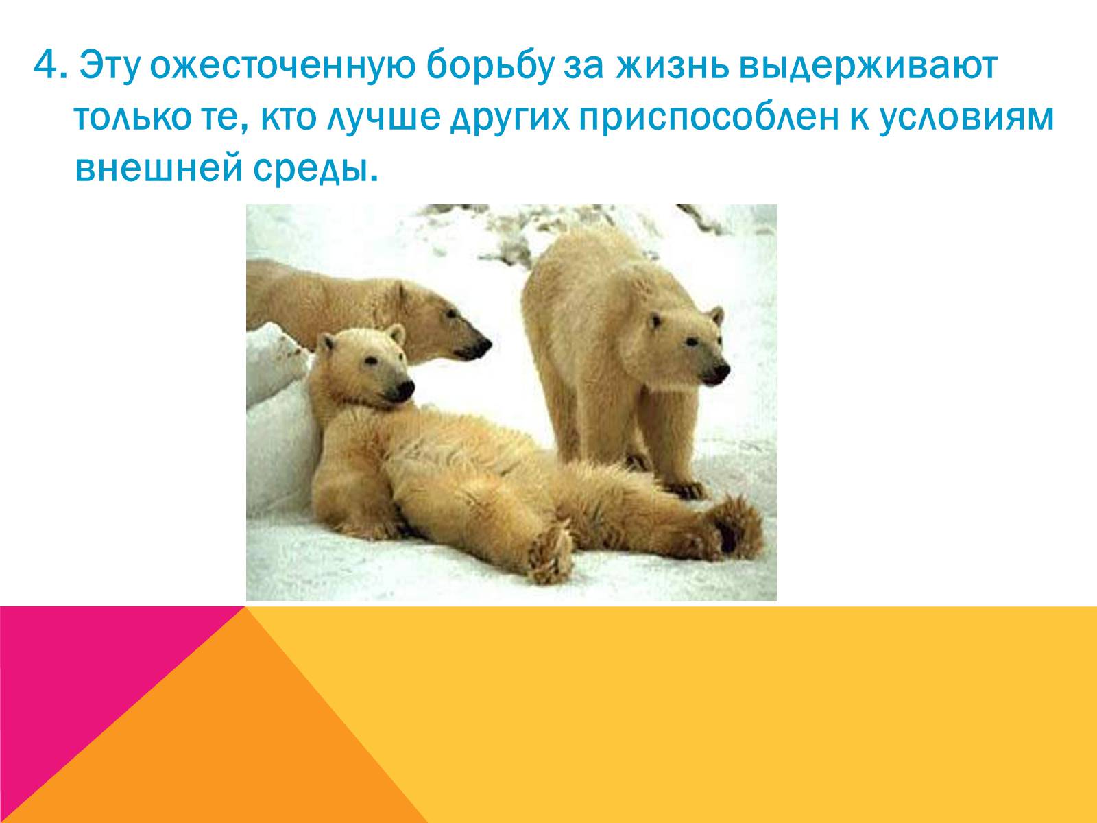 Презентація на тему «Эволюция» - Слайд #12 Презентація на тему «Эволюция» - Слайд #12