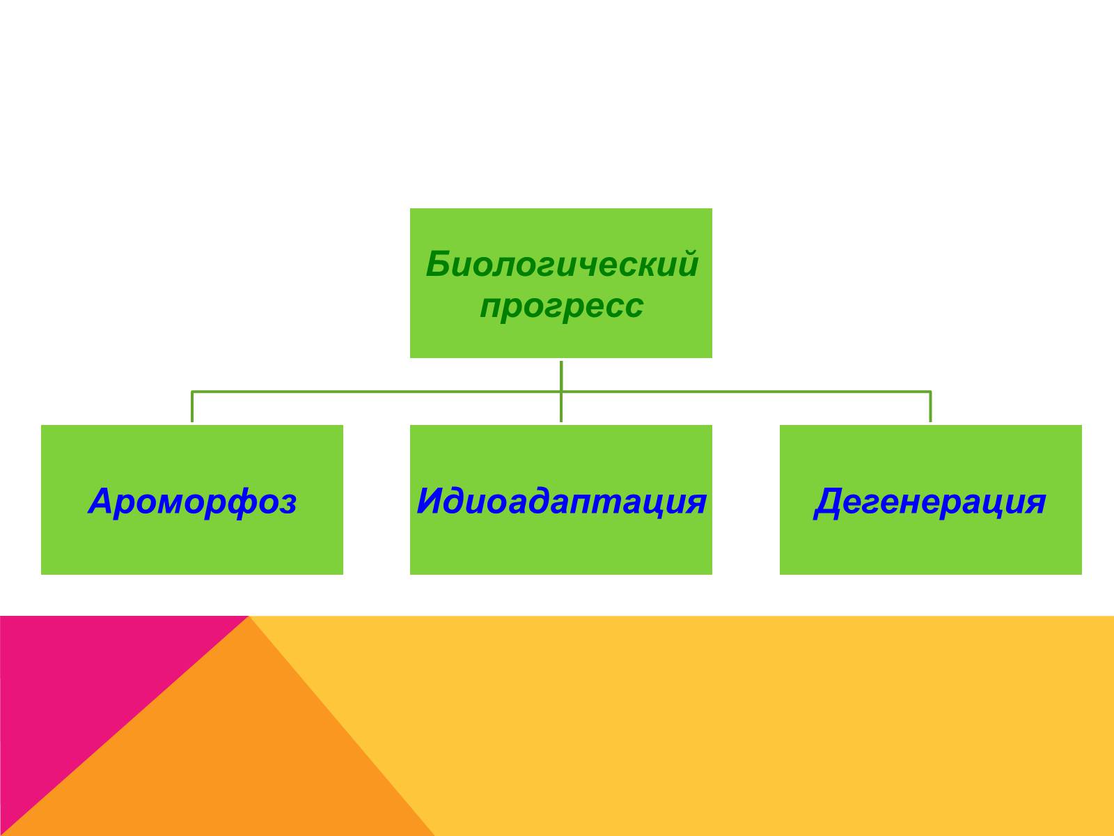 Презентація на тему «Эволюция» - Слайд #14 Презентація на тему «Эволюция» - Слайд #14