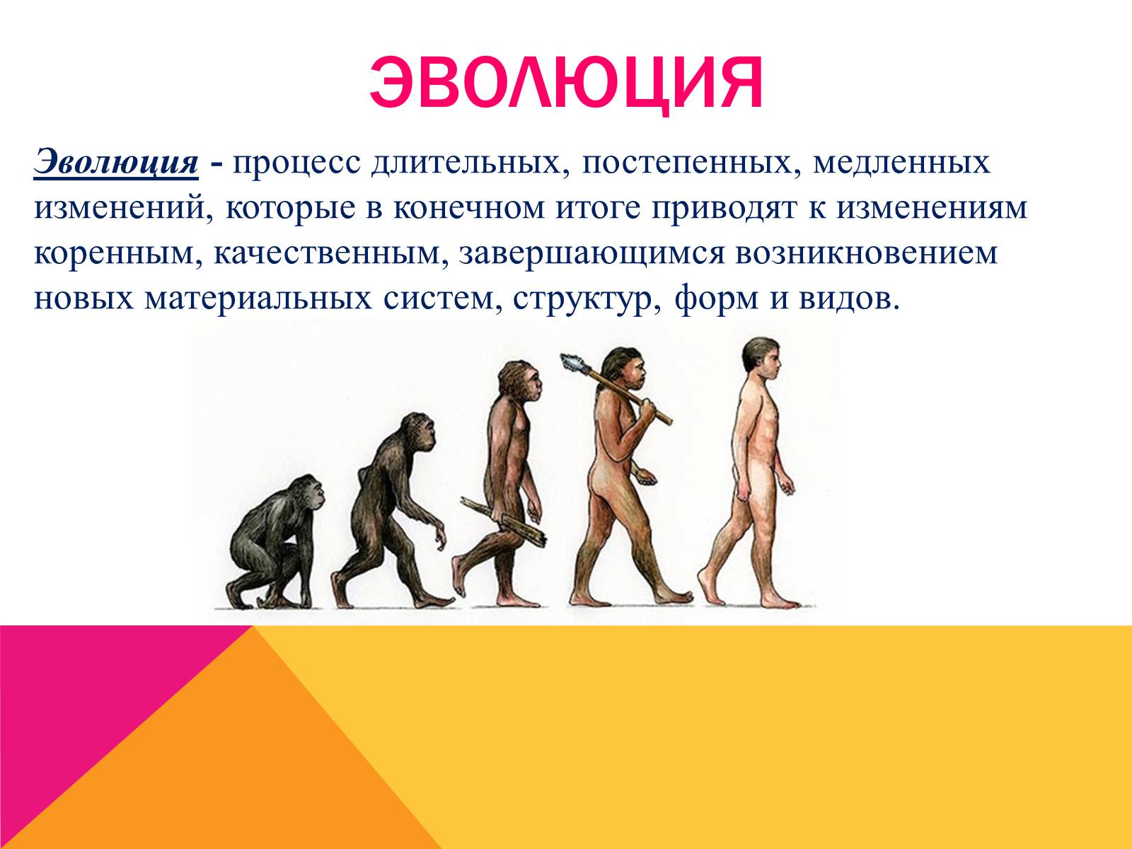 Презентація на тему «Эволюция» - Слайд #2 Презентація на тему «Эволюция» - Слайд #2