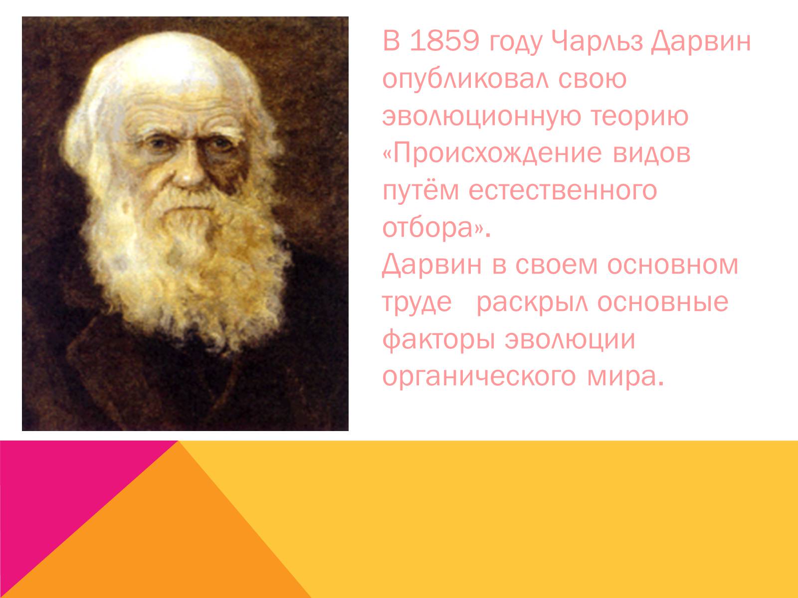 Презентація на тему «Эволюция» - Слайд #6 Презентація на тему «Эволюция» - Слайд #6
