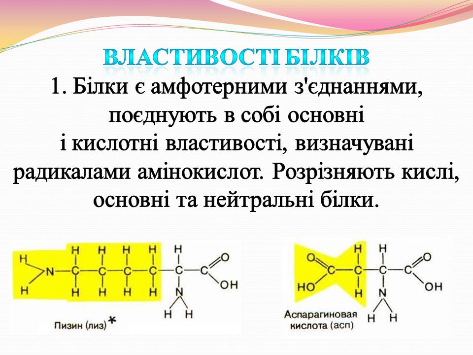 Презентація на тему «Білки. Властивості та функції» - Слайд #2 Презентація на тему «Білки. Властивості та функції» - Слайд #2