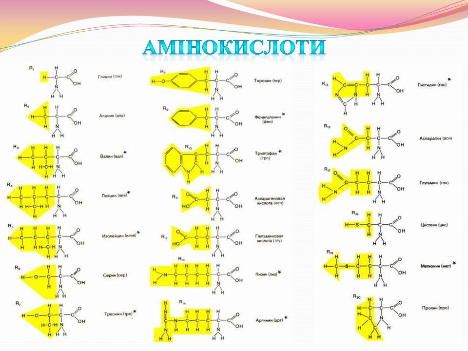 Презентація на тему «Білки. Властивості та функції» - Слайд #3 Презентація на тему «Білки. Властивості та функції» - Слайд #3