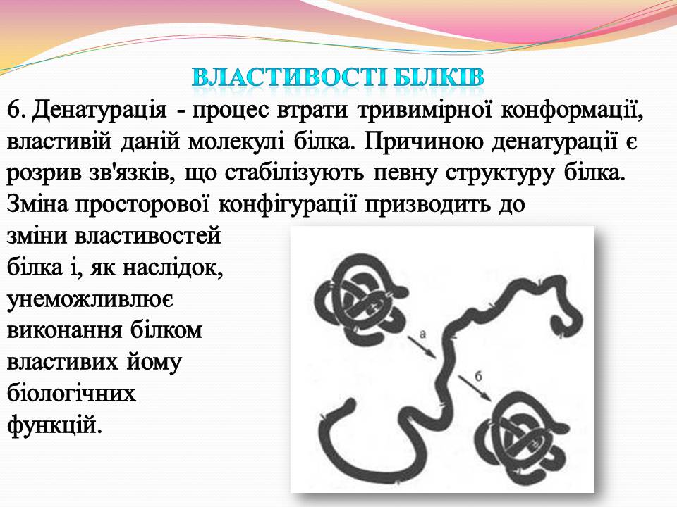 Презентація на тему «Білки. Властивості та функції» - Слайд #7 Презентація на тему «Білки. Властивості та функції» - Слайд #7