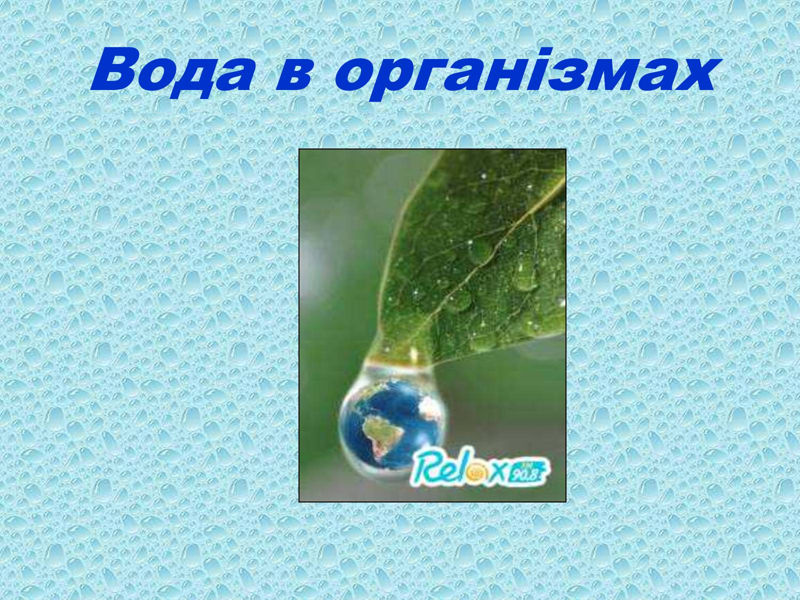 Презентація на тему «Вода в організмах» (варіант 2) - Слайд #1 Презентація на тему «Вода в організмах» (варіант 2) - Слайд #1