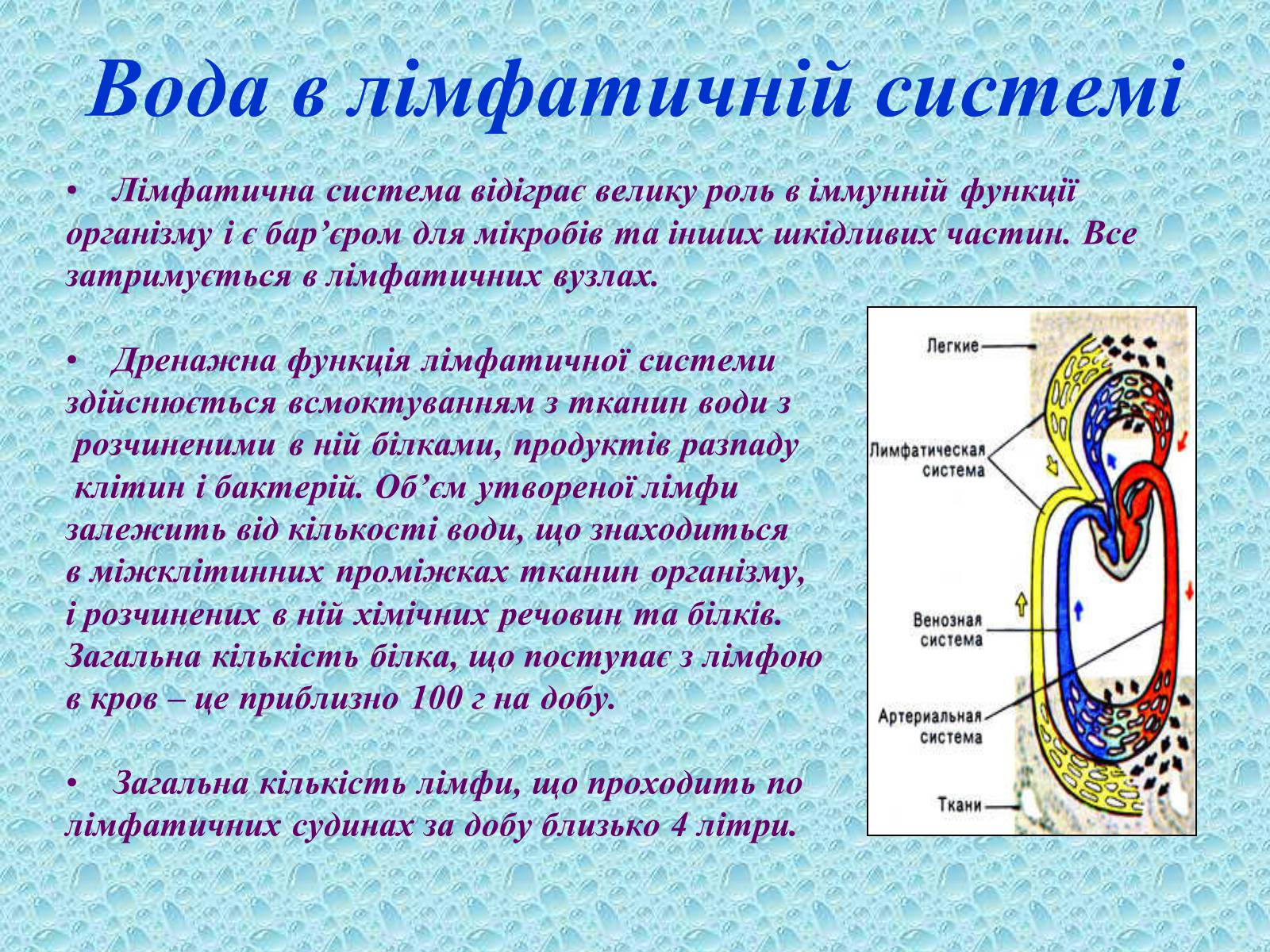 Презентація на тему «Вода в організмах» (варіант 2) - Слайд #15 Презентація на тему «Вода в організмах» (варіант 2) - Слайд #15
