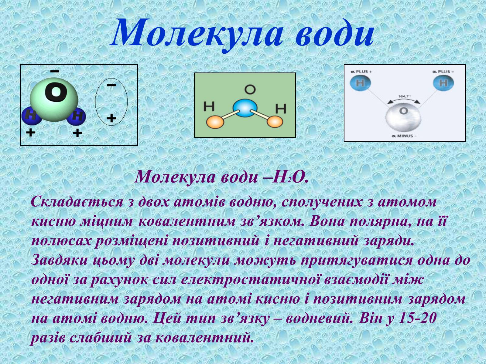 Презентація на тему «Вода в організмах» (варіант 2) - Слайд #3 Презентація на тему «Вода в організмах» (варіант 2) - Слайд #3