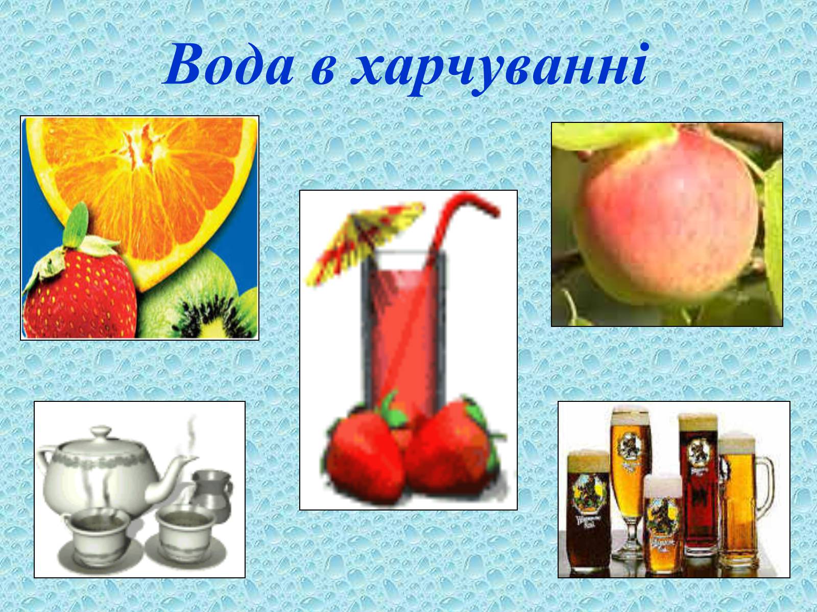Презентація на тему «Вода в організмах» (варіант 2) - Слайд #6 Презентація на тему «Вода в організмах» (варіант 2) - Слайд #6