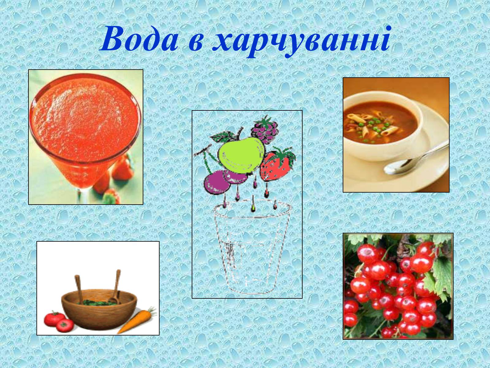 Презентація на тему «Вода в організмах» (варіант 2) - Слайд #7 Презентація на тему «Вода в організмах» (варіант 2) - Слайд #7