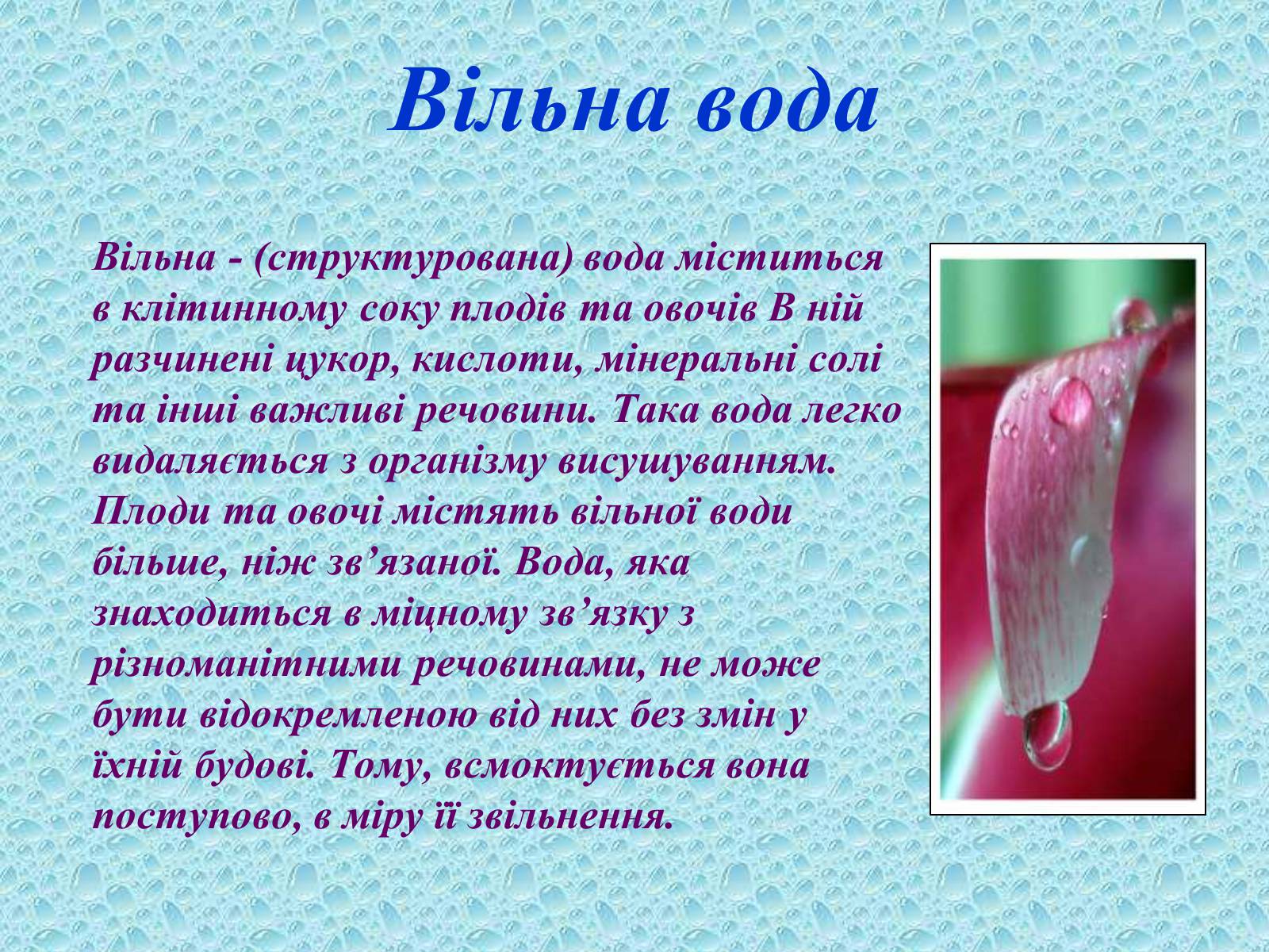 Презентація на тему «Вода в організмах» (варіант 2) - Слайд #8 Презентація на тему «Вода в організмах» (варіант 2) - Слайд #8