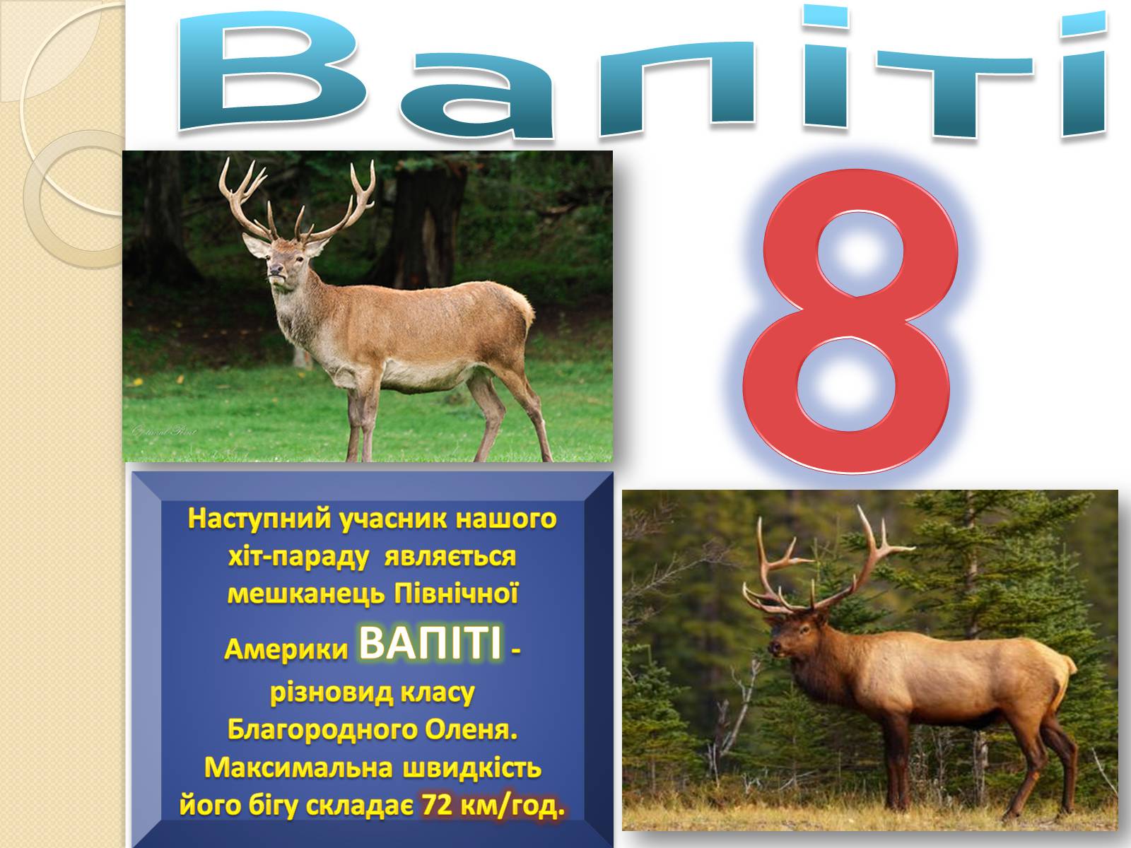 Презентація на тему «Топ-10 найшвидших тварини планети» - Слайд #4 Презентація на тему «Топ-10 найшвидших тварини планети» - Слайд #4