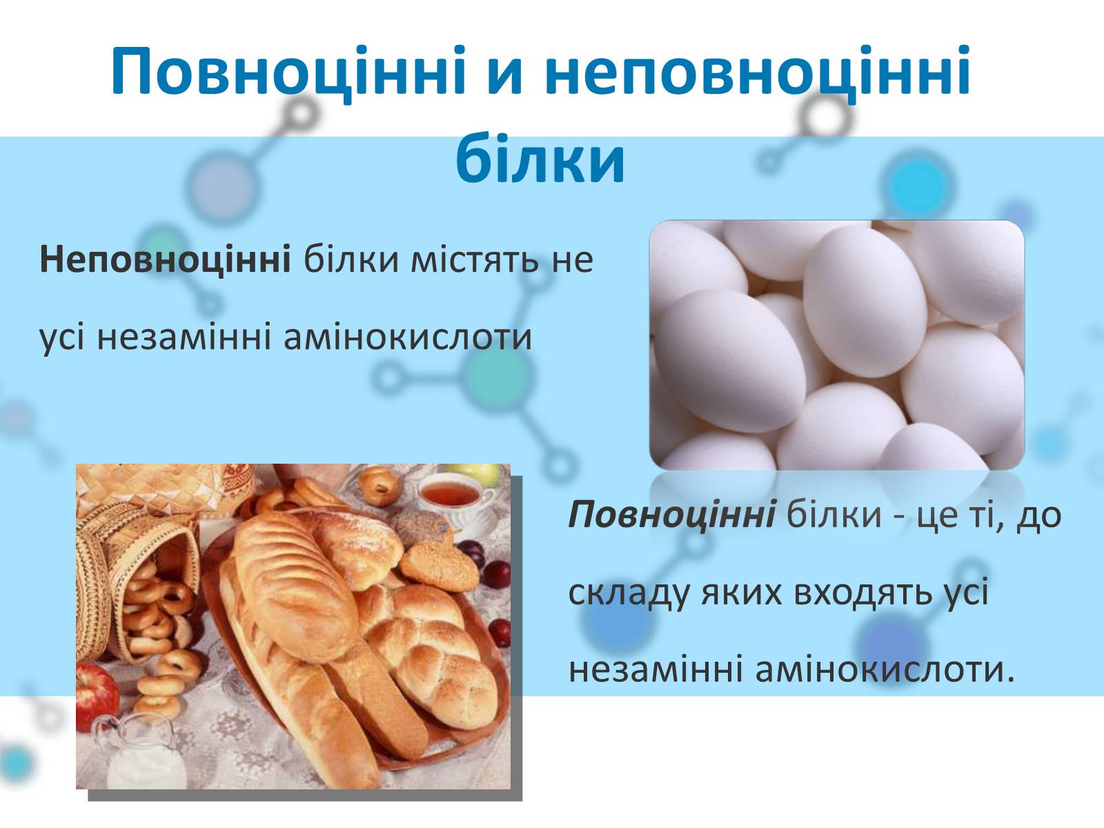 Презентація на тему «Білки» (варіант 1) - Слайд #28 Презентація на тему «Білки» (варіант 1) - Слайд #28