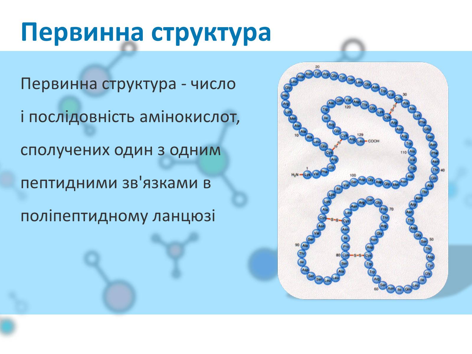 Презентація на тему «Білки» (варіант 1) - Слайд #7 Презентація на тему «Білки» (варіант 1) - Слайд #7