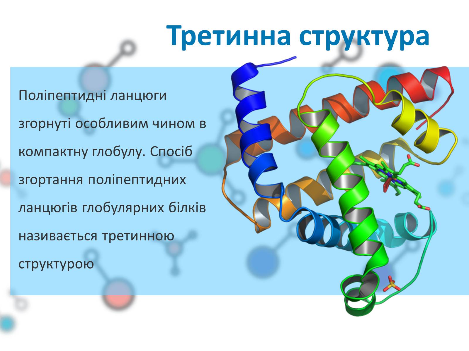 Презентація на тему «Білки» (варіант 1) - Слайд #9 Презентація на тему «Білки» (варіант 1) - Слайд #9