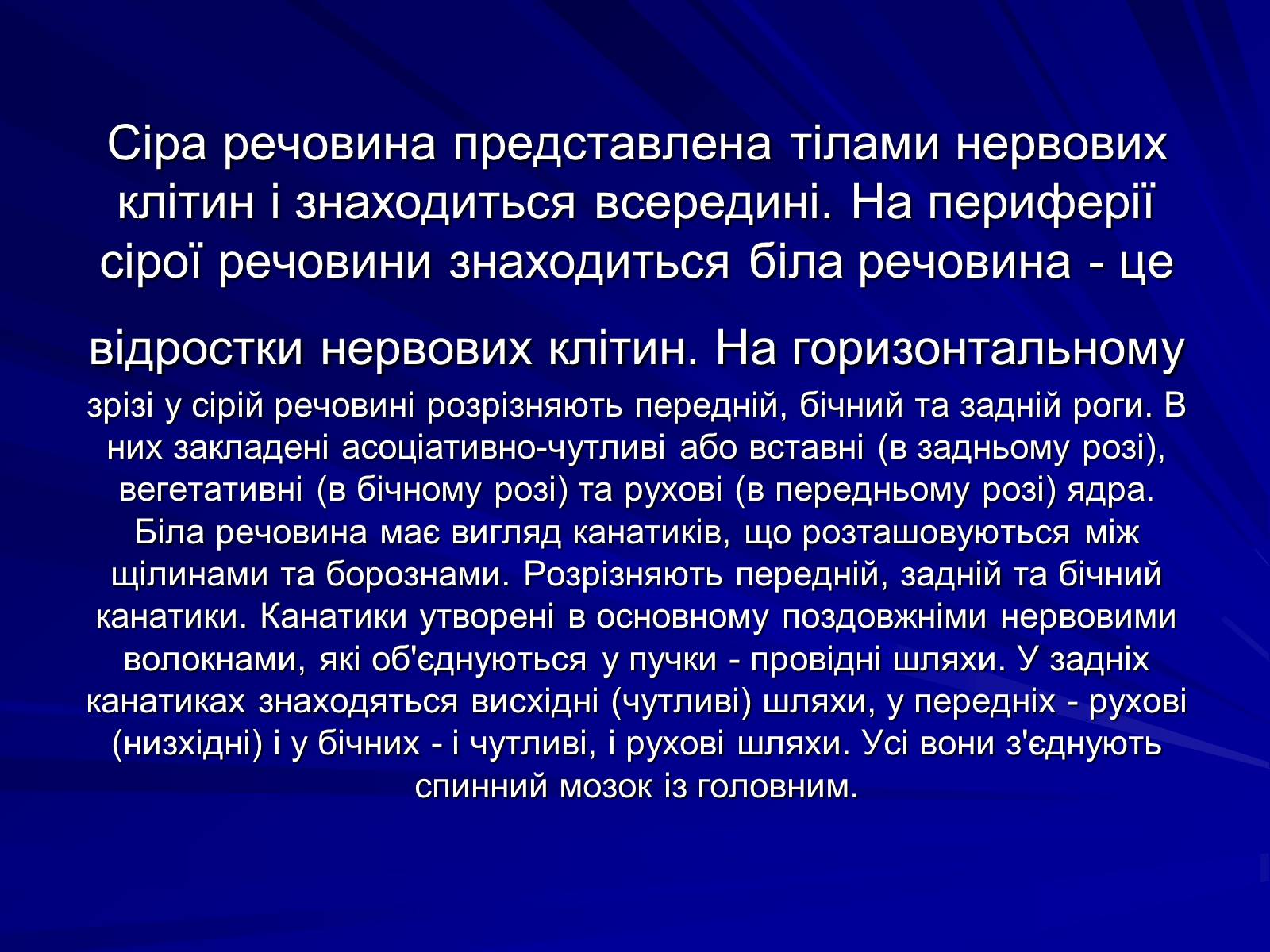 Презентація на тему «Спинний мозок» (варіант 1) - Слайд #11 Презентація на тему «Спинний мозок» (варіант 1) - Слайд #11