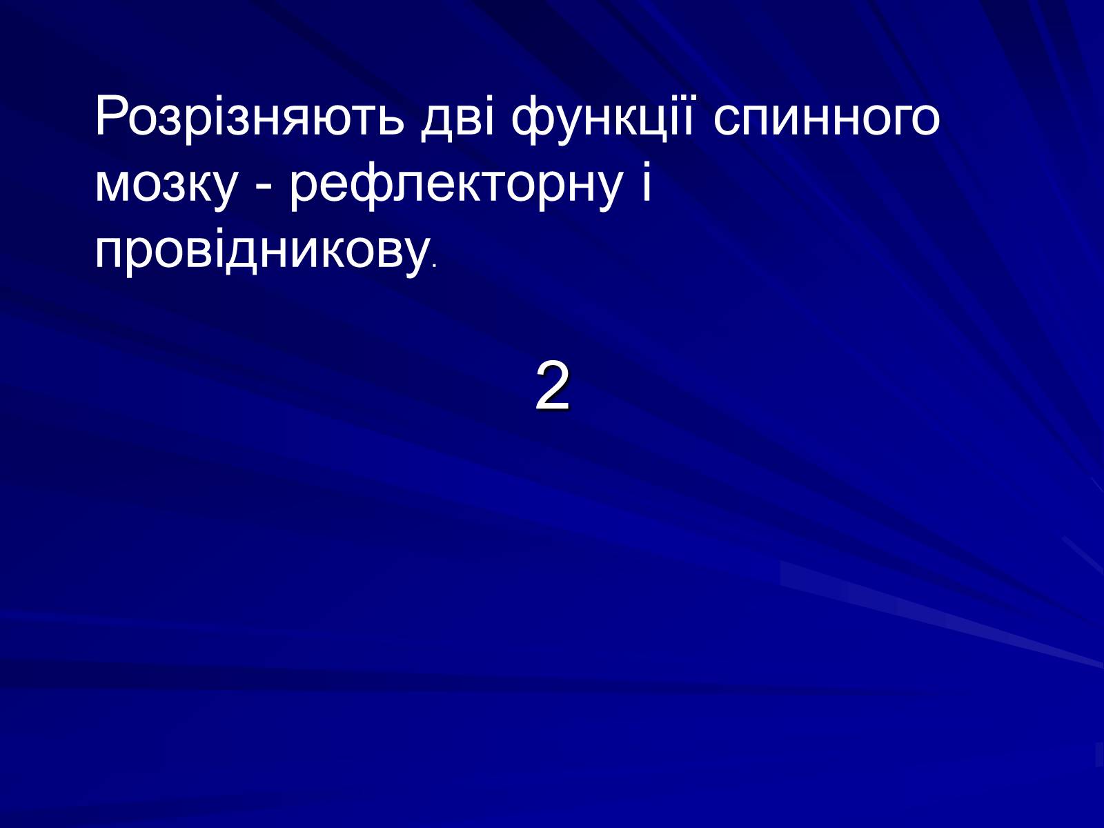 Презентація на тему «Спинний мозок» (варіант 1) - Слайд #13 Презентація на тему «Спинний мозок» (варіант 1) - Слайд #13