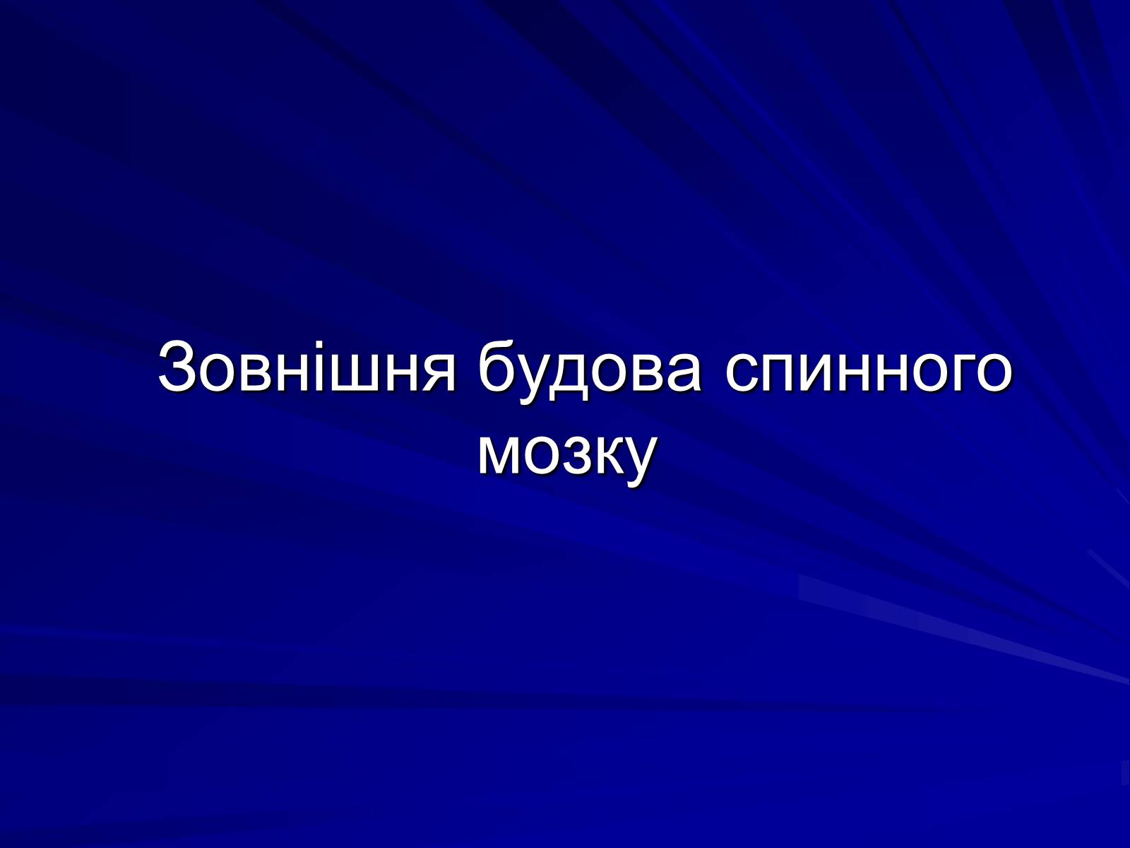 Презентація на тему «Спинний мозок» (варіант 1) - Слайд #2 Презентація на тему «Спинний мозок» (варіант 1) - Слайд #2