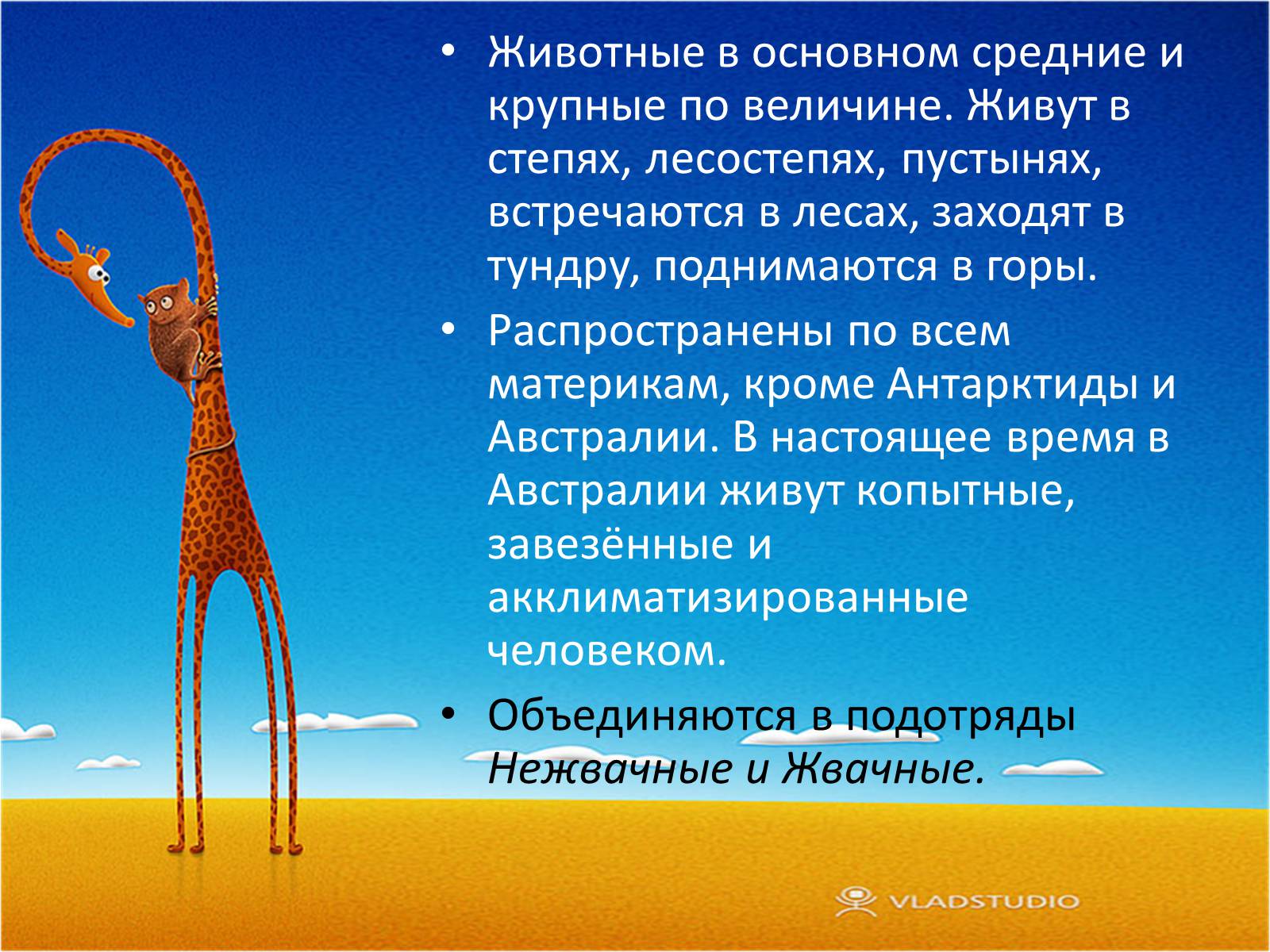 Презентація на тему «Отряд Парнокопытные» - Слайд #7 Презентація на тему «Отряд Парнокопытные» - Слайд #7