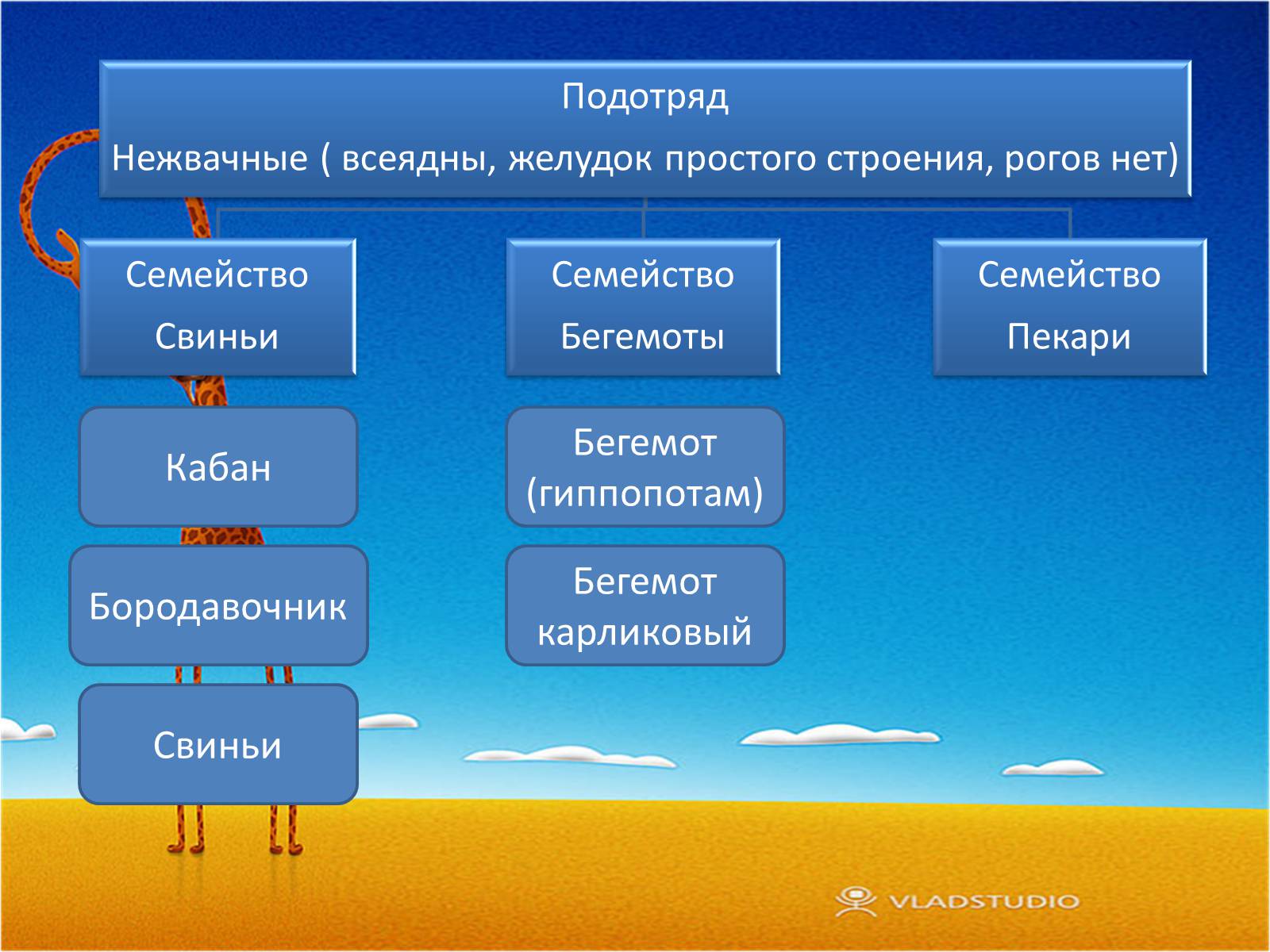 Презентація на тему «Отряд Парнокопытные» - Слайд #8 Презентація на тему «Отряд Парнокопытные» - Слайд #8