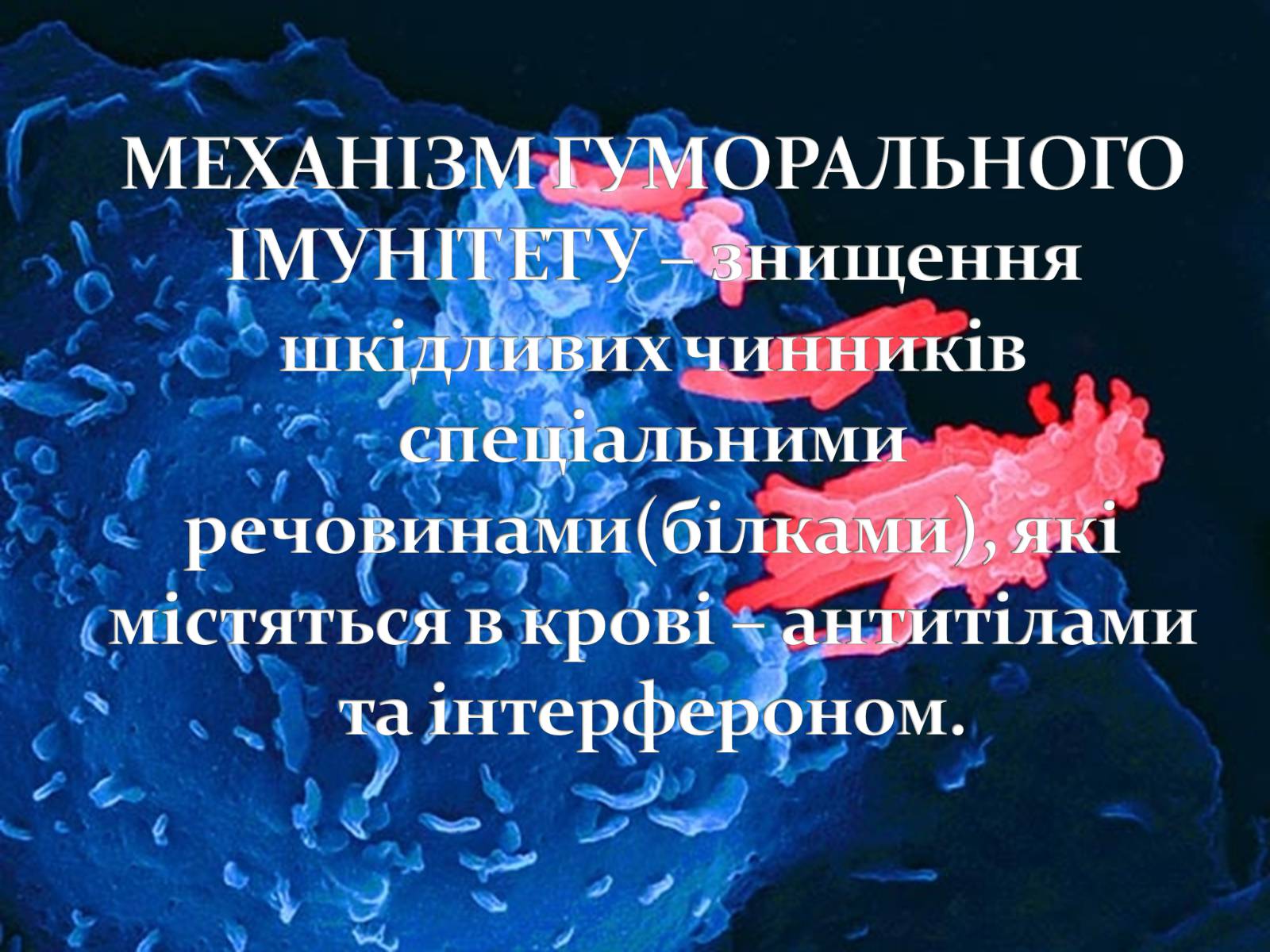 Презентація на тему «Імунітет» (варіант 3) - Слайд #12 Презентація на тему «Імунітет» (варіант 3) - Слайд #12