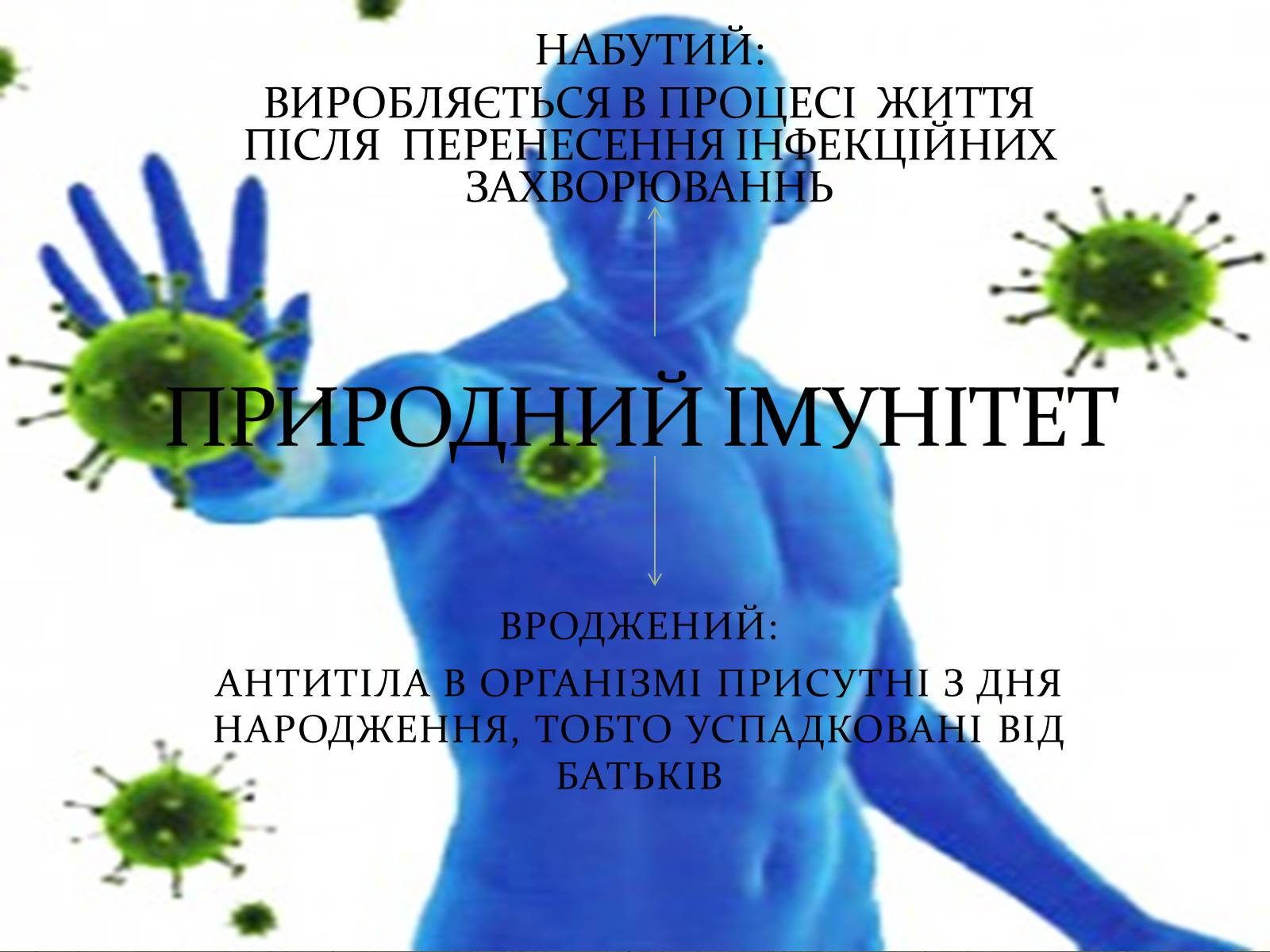 Презентація на тему «Імунітет» (варіант 3) - Слайд #14 Презентація на тему «Імунітет» (варіант 3) - Слайд #14