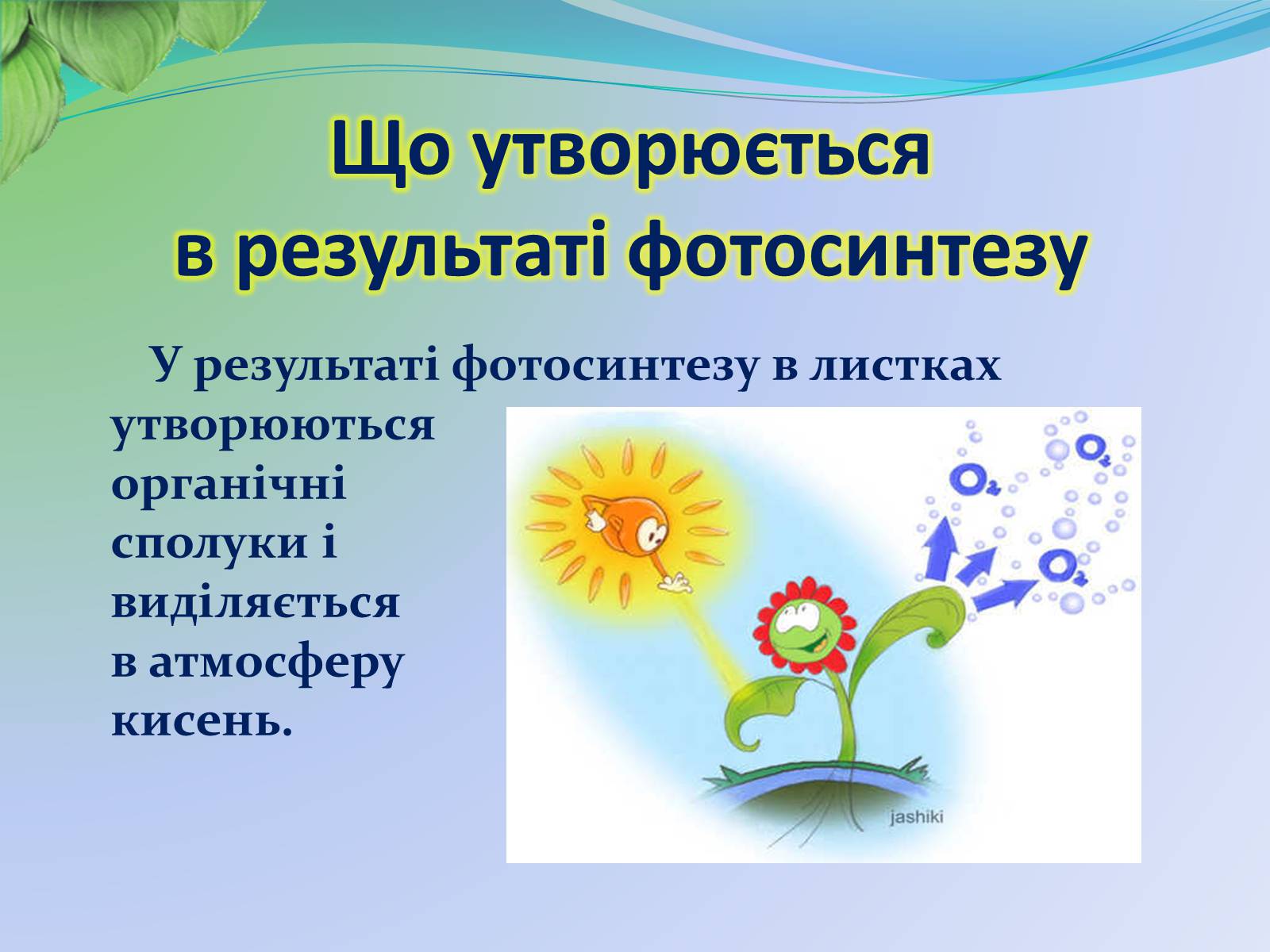 Презентація на тему «Функції листка» - Слайд #10 Презентація на тему «Функції листка» - Слайд #10
