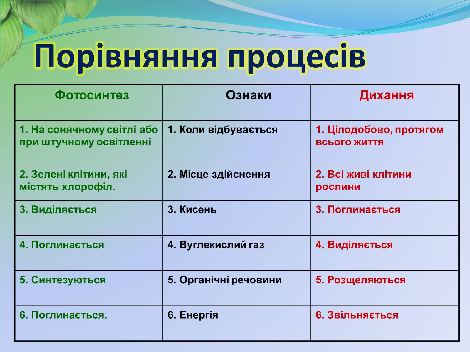 Презентація на тему «Функції листка» - Слайд #17 Презентація на тему «Функції листка» - Слайд #17