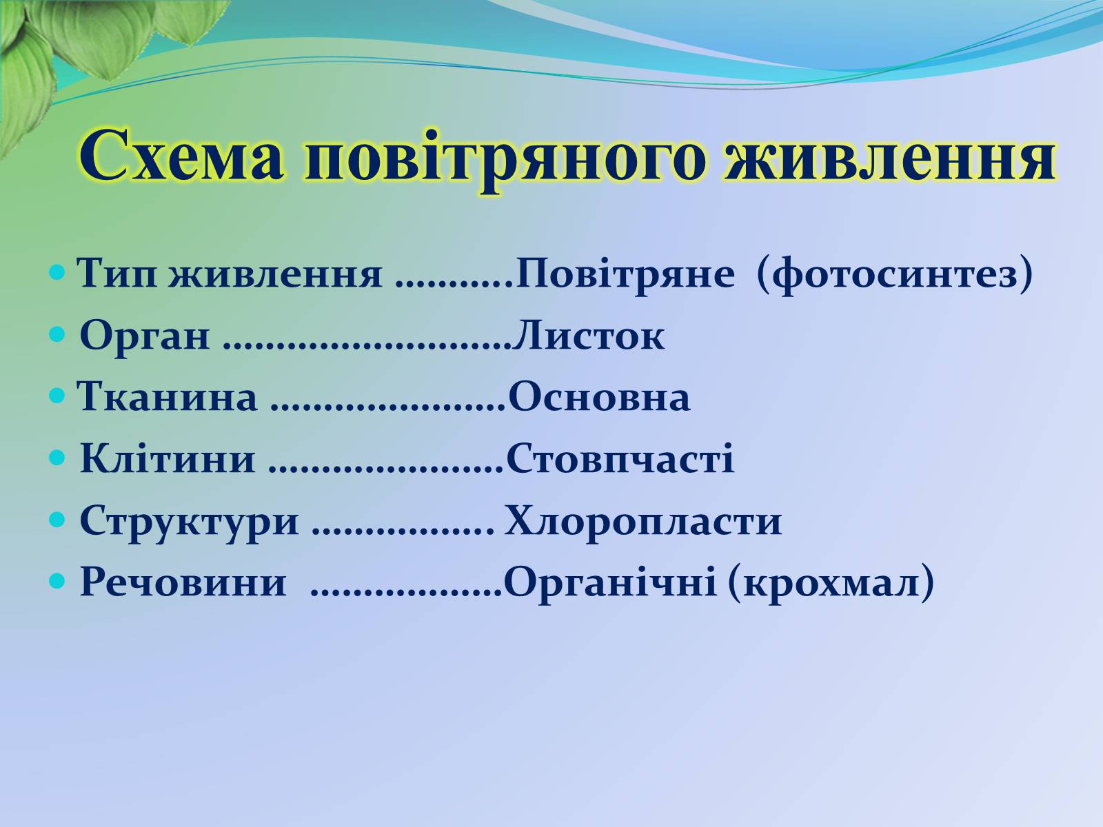 Презентація на тему «Функції листка» - Слайд #26 Презентація на тему «Функції листка» - Слайд #26