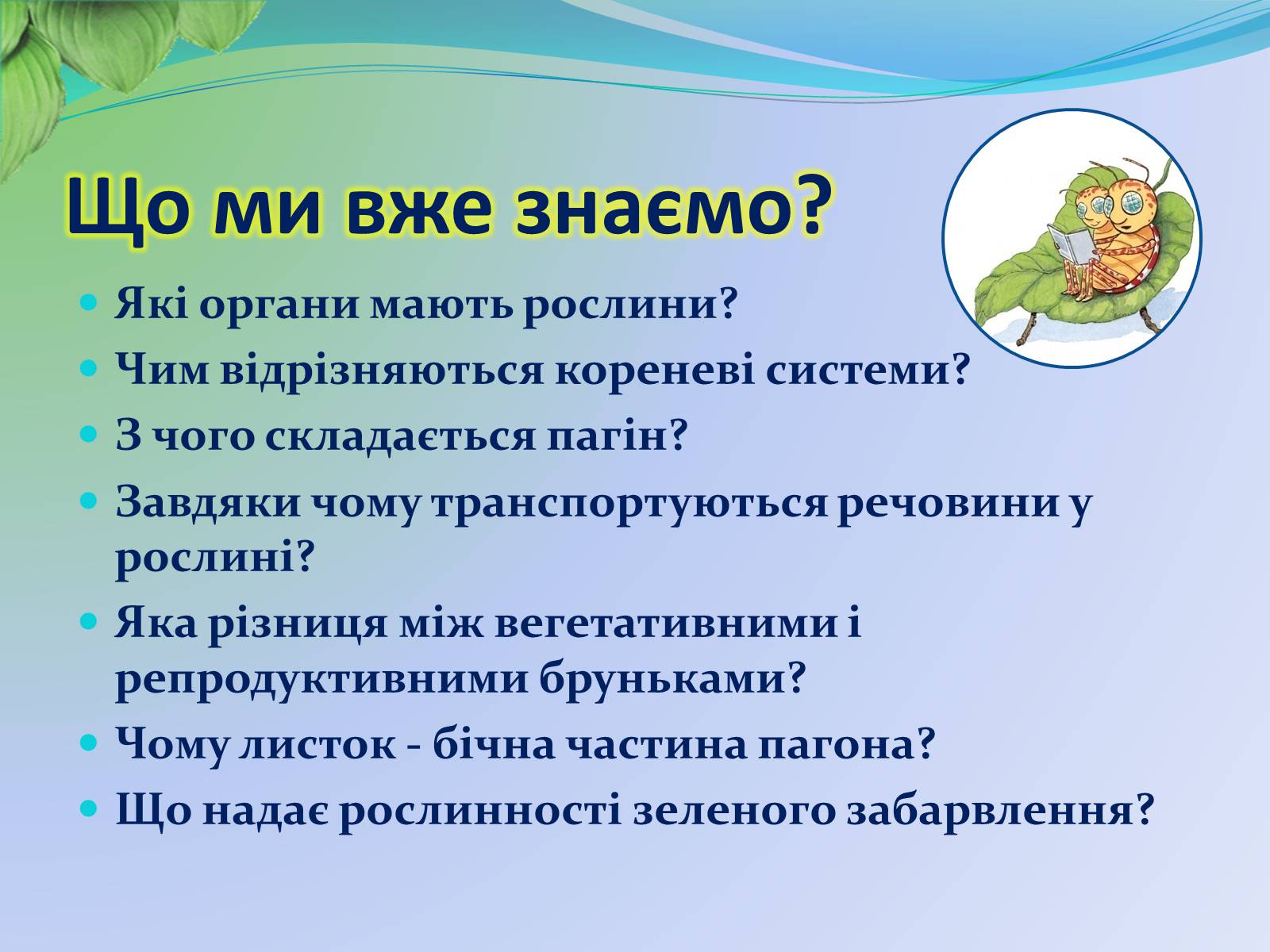 Презентація на тему «Функції листка» - Слайд #3 Презентація на тему «Функції листка» - Слайд #3
