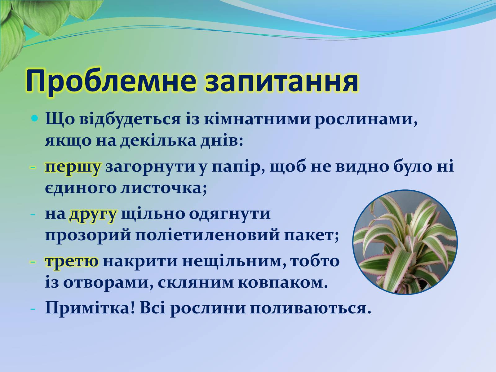 Презентація на тему «Функції листка» - Слайд #4 Презентація на тему «Функції листка» - Слайд #4