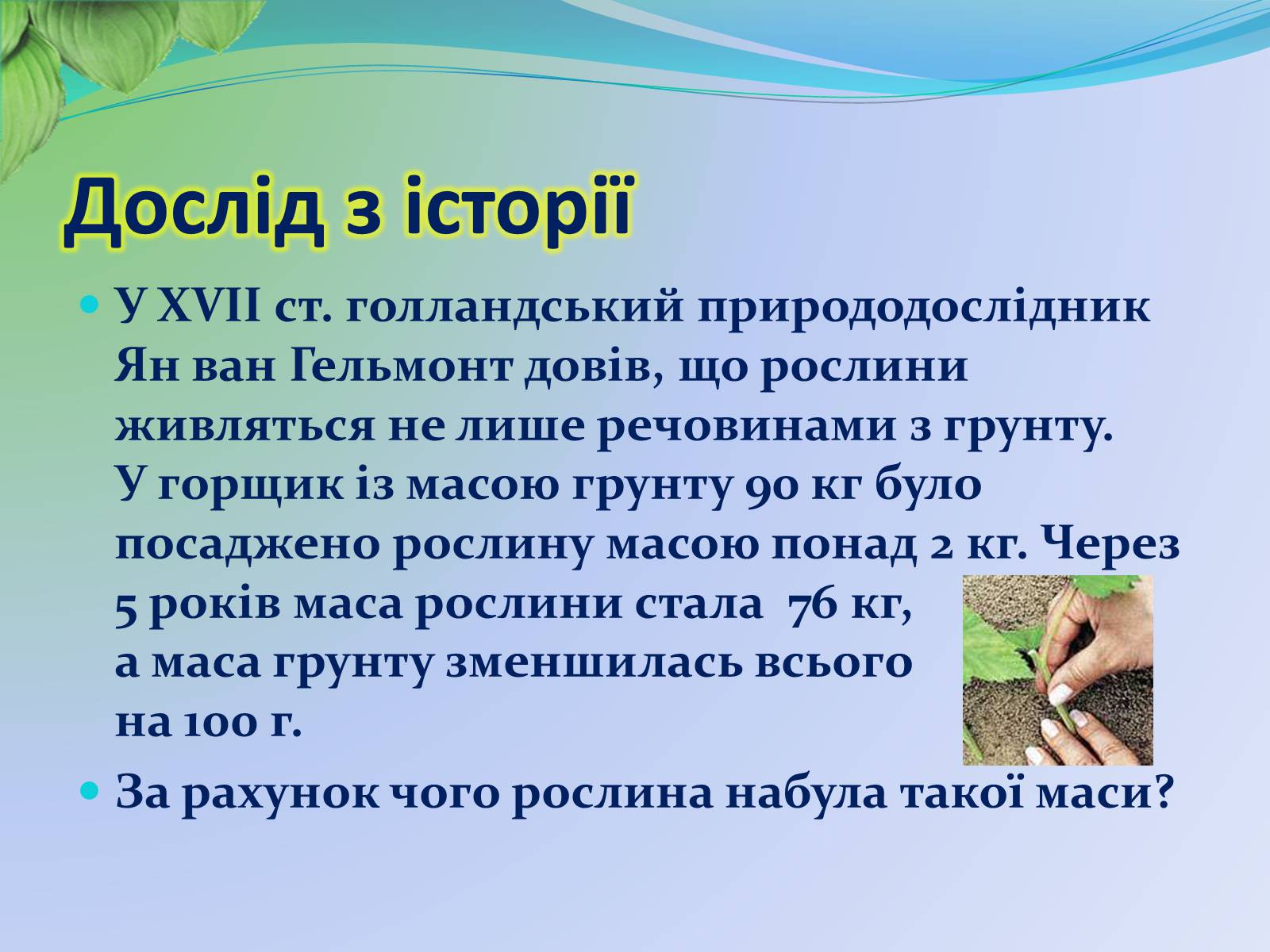 Презентація на тему «Функції листка» - Слайд #5 Презентація на тему «Функції листка» - Слайд #5