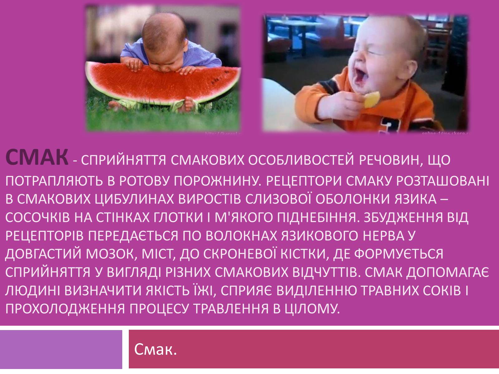 Презентація на тему «Вчення І.П. Павлова про Аналізатори» - Слайд #9 Презентація на тему «Вчення І.П. Павлова про Аналізатори» - Слайд #9