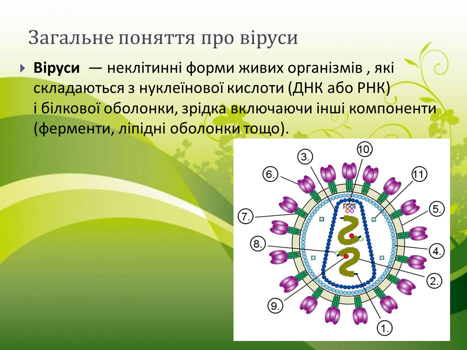 Презентація на тему «Віруси» (варіант 9) - Слайд #3 Презентація на тему «Віруси» (варіант 9) - Слайд #3