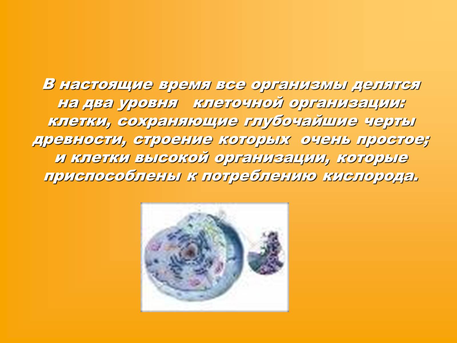 Презентація на тему «Сравнительная характеристика прокариотической и эукариотической клетки» - Слайд #2 Презентація на тему «Сравнительная характеристика прокариотической и эукариотической клетки» - Слайд #2